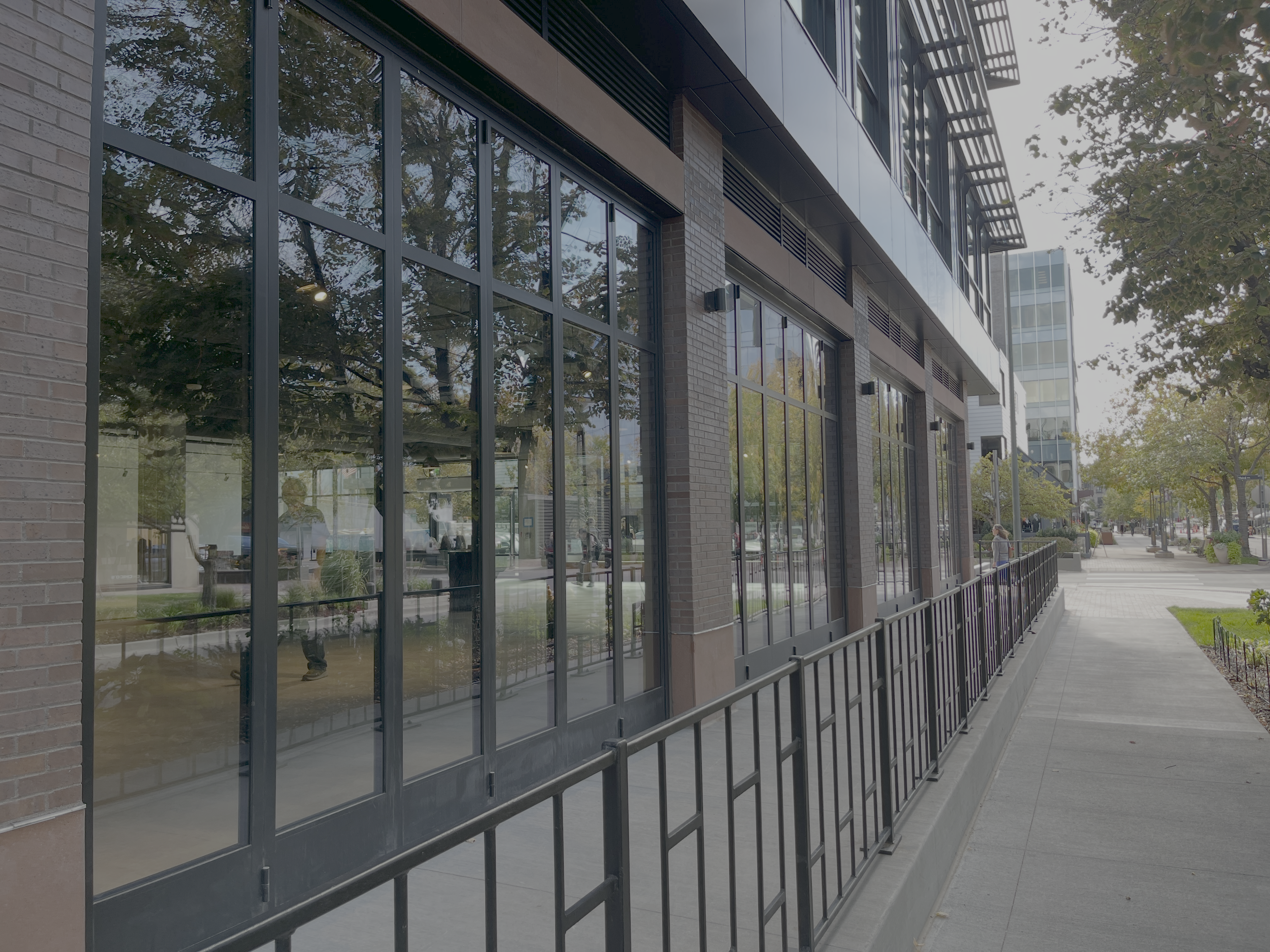Commercial Window Cleaning