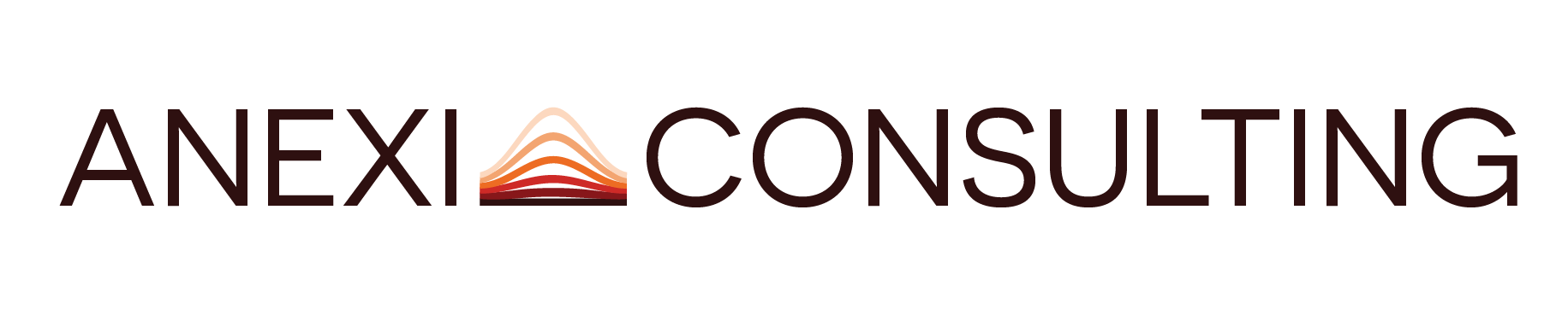 Anexi Consulting