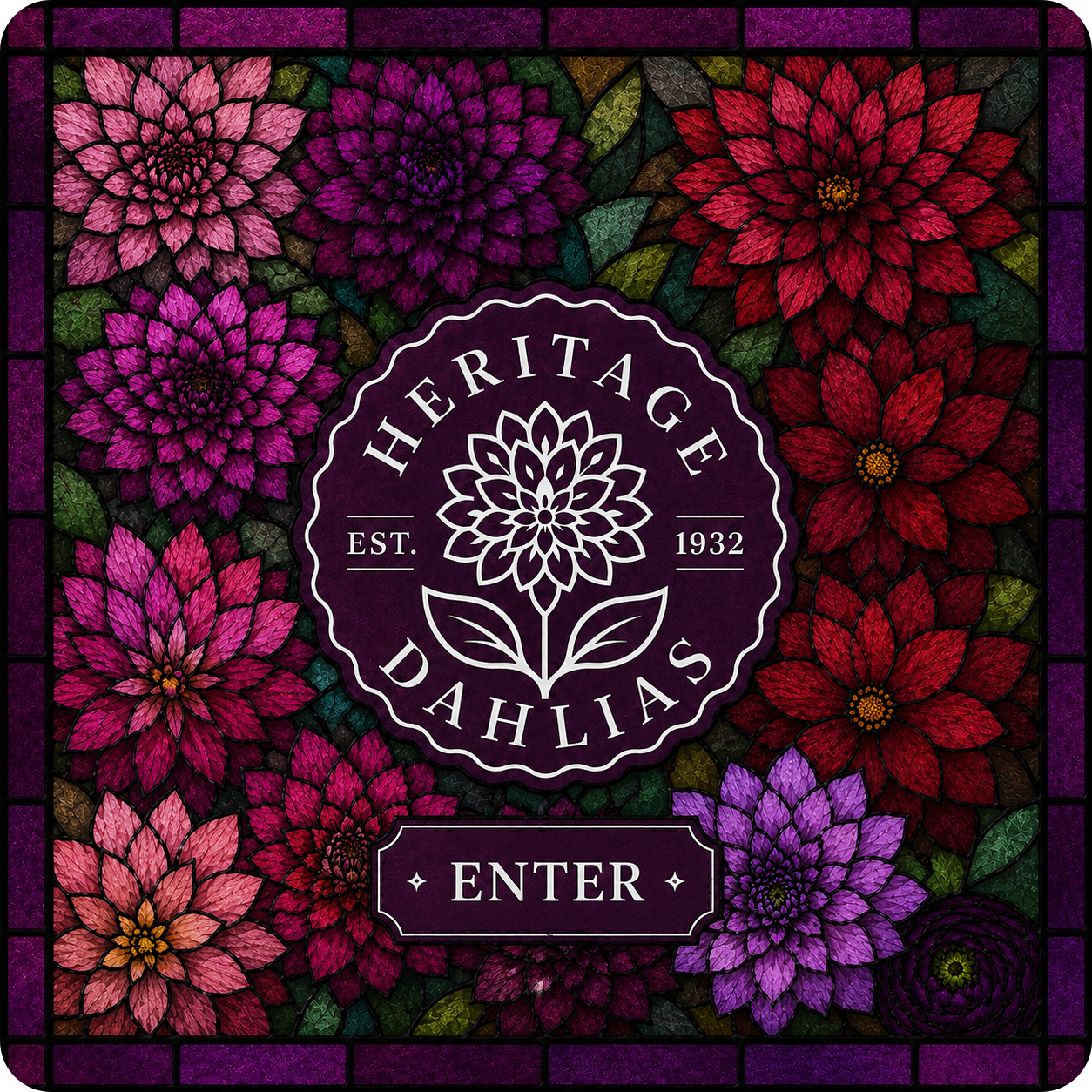 Heritage Dahlias