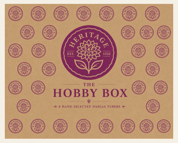 Mystery Boxes
