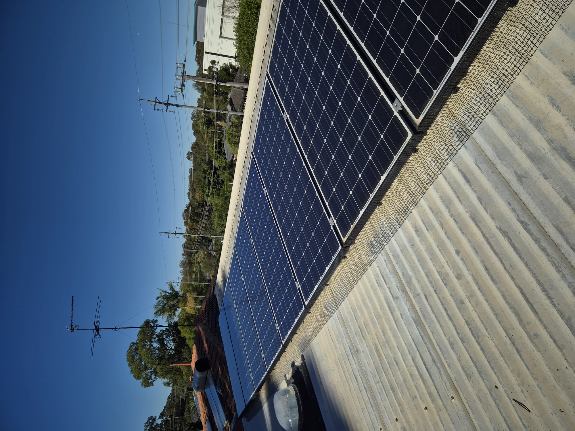 Bird Proofing Solar Panels: What Sydney Homeowners Need to Know