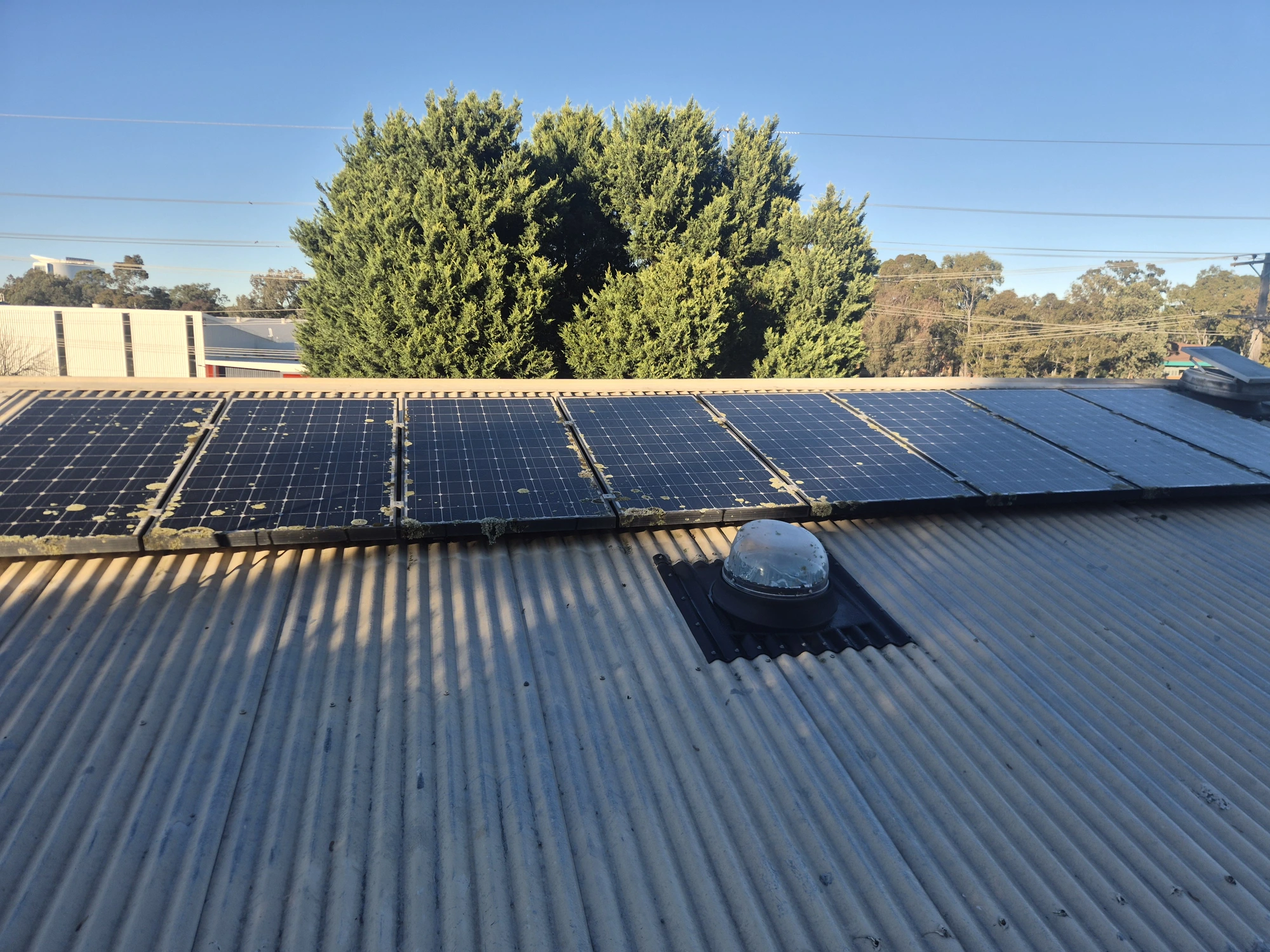 Solar Panel Bird Proofing before