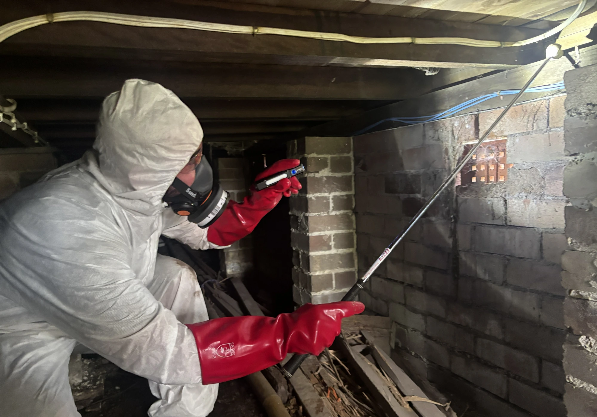 Termite Inspections Sydney
