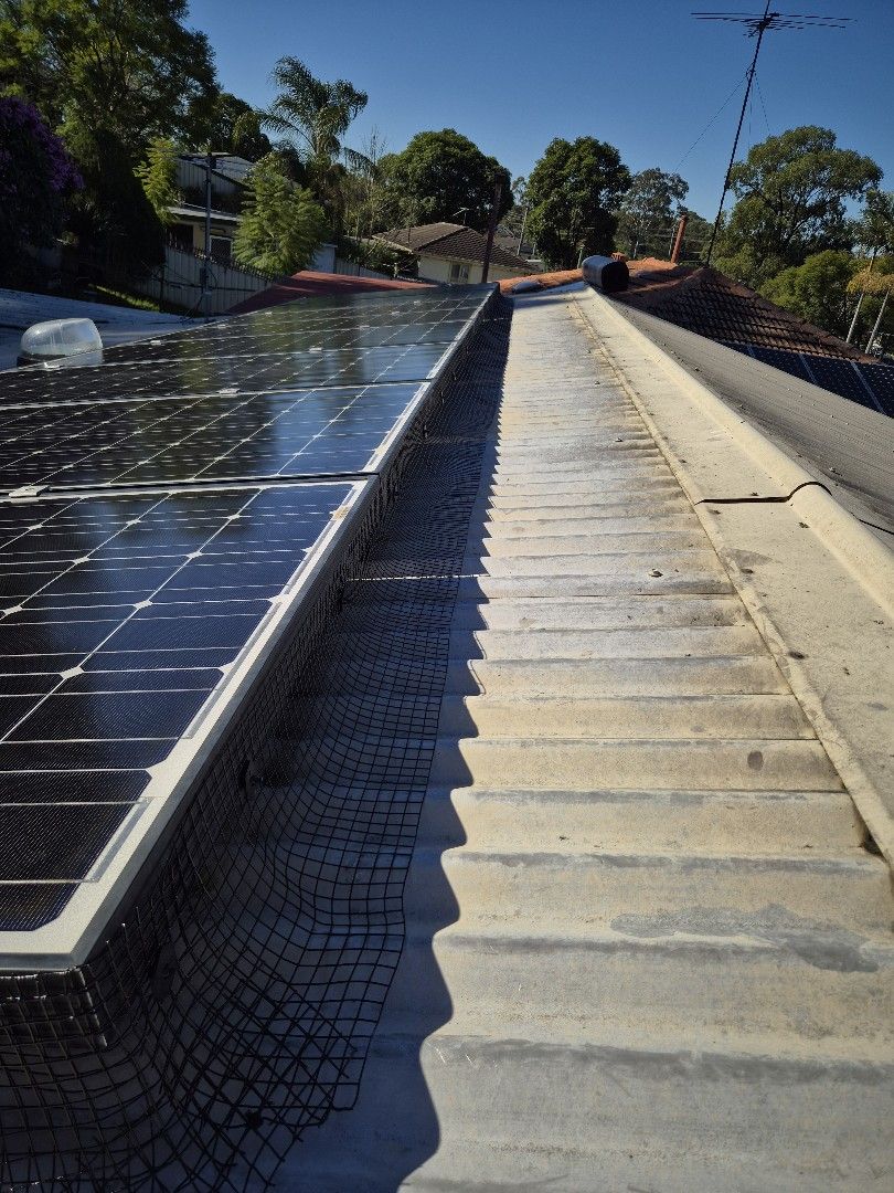 Solar Panel Bird Proofing after