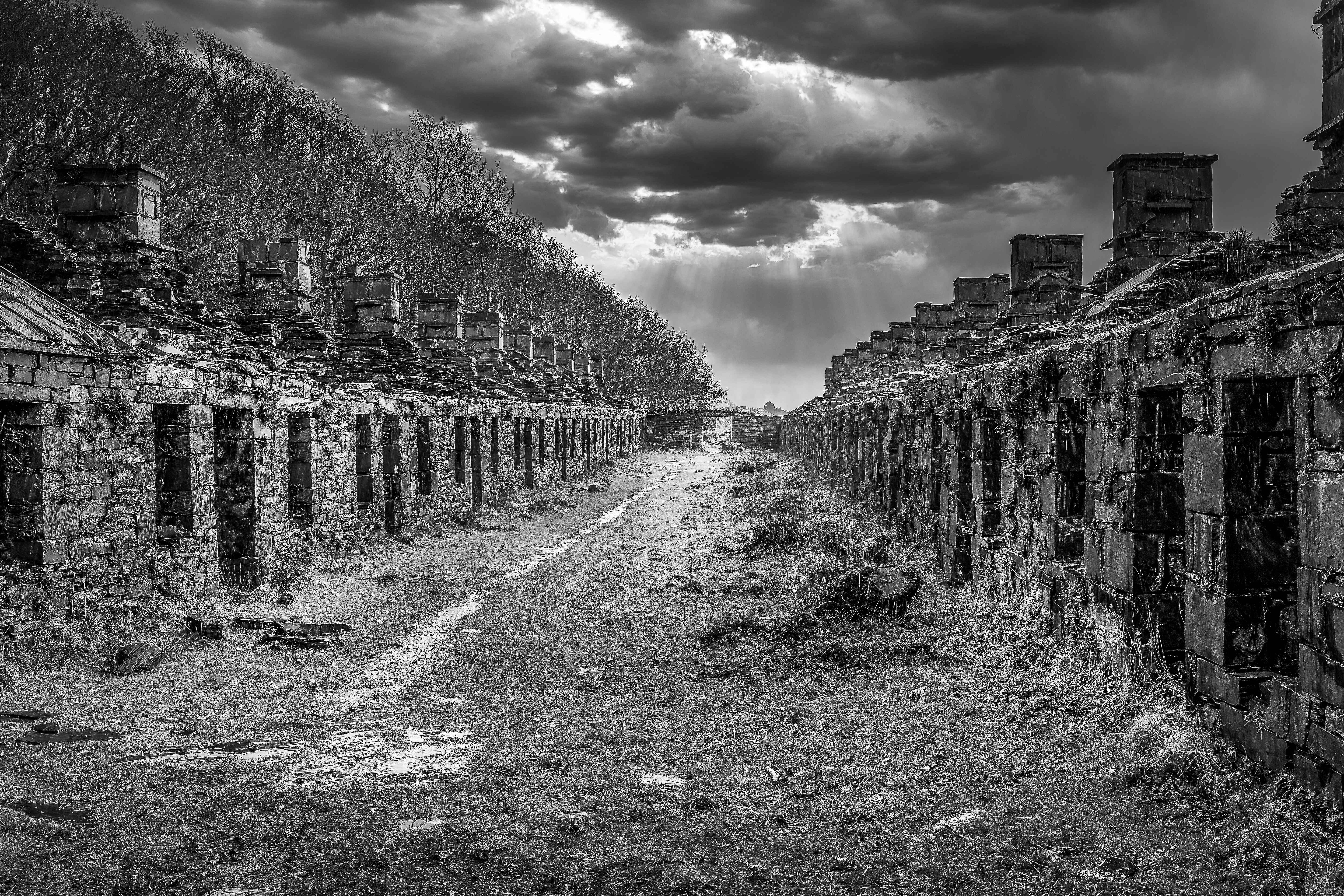 Abandoned Echoes