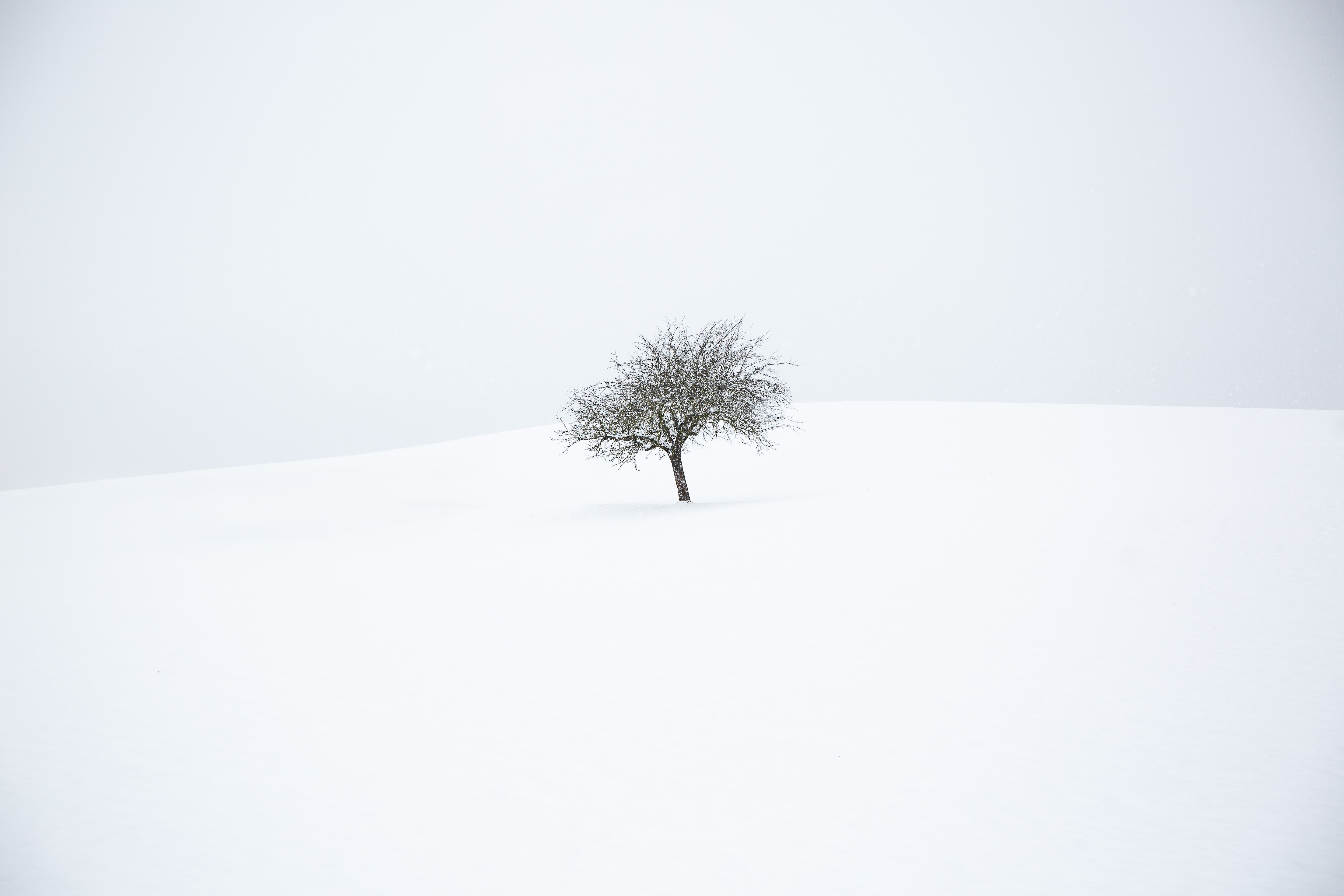 Frost & Fire