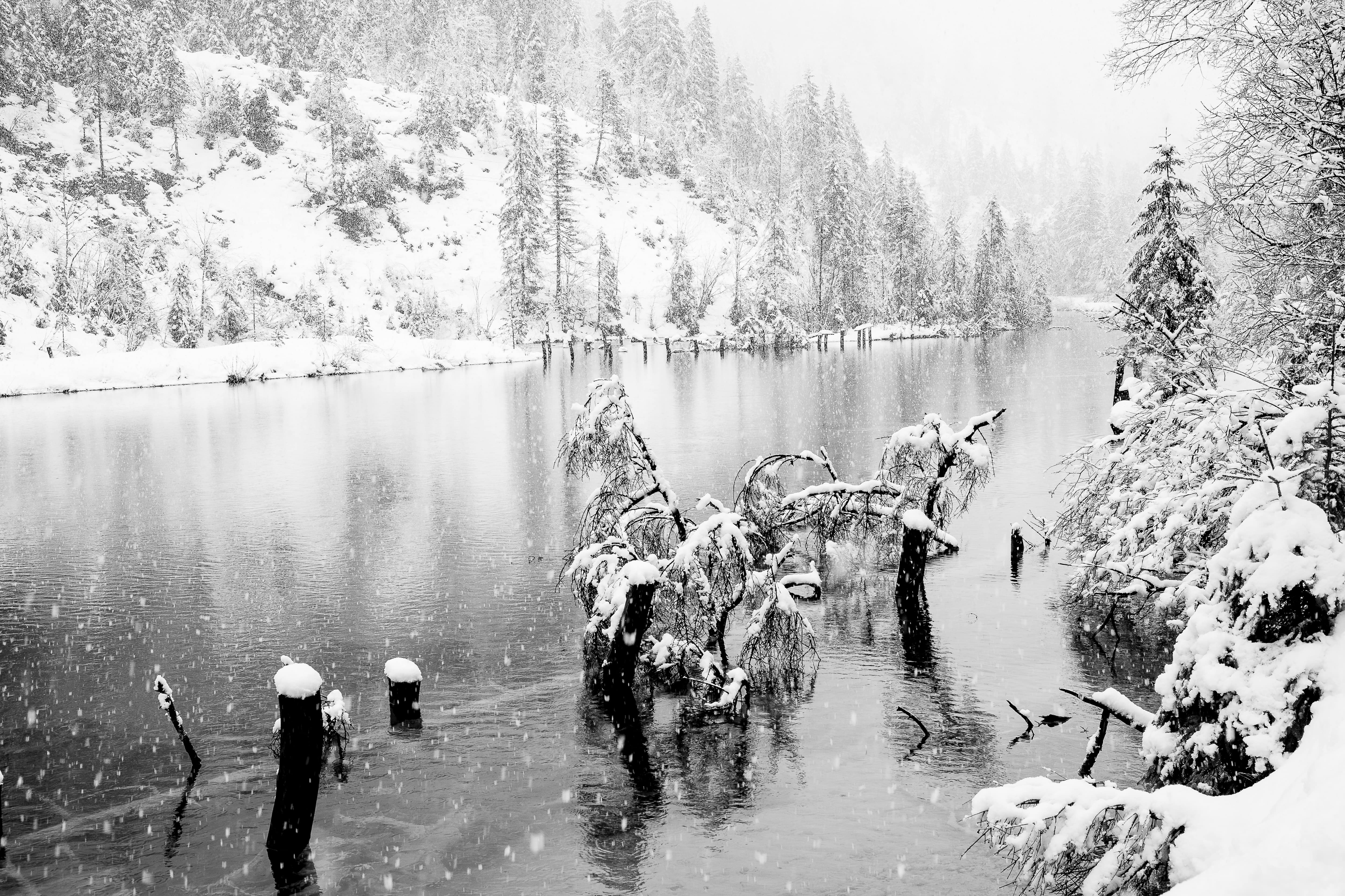 Winter Whispers