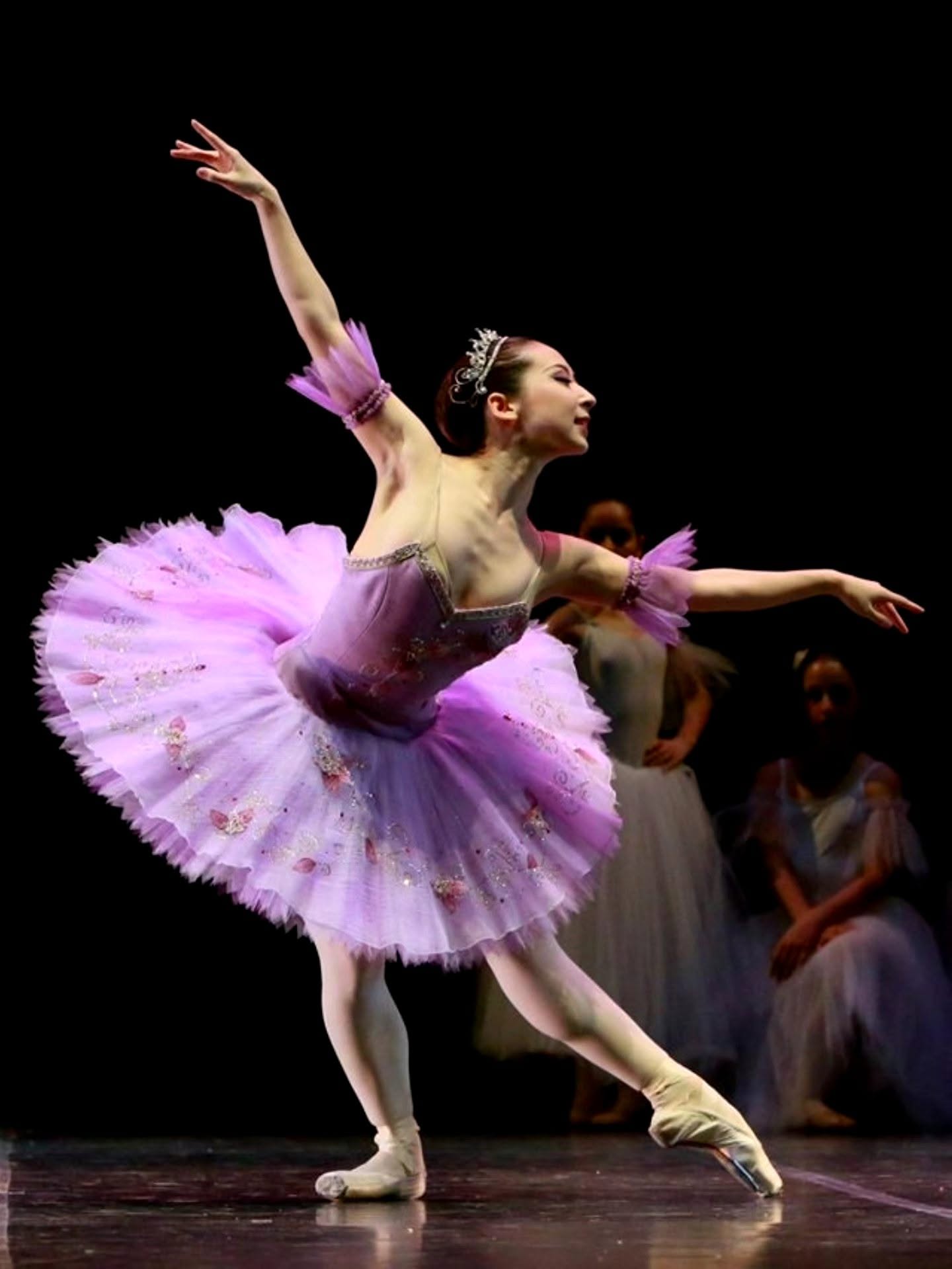 Interdanza — ballerina, Gala Sulle ali della danza