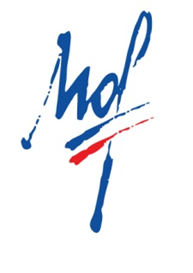 Nicolas Blot, un des Meilleurs Ouvriers de France Meilleur Ouvrier de France
