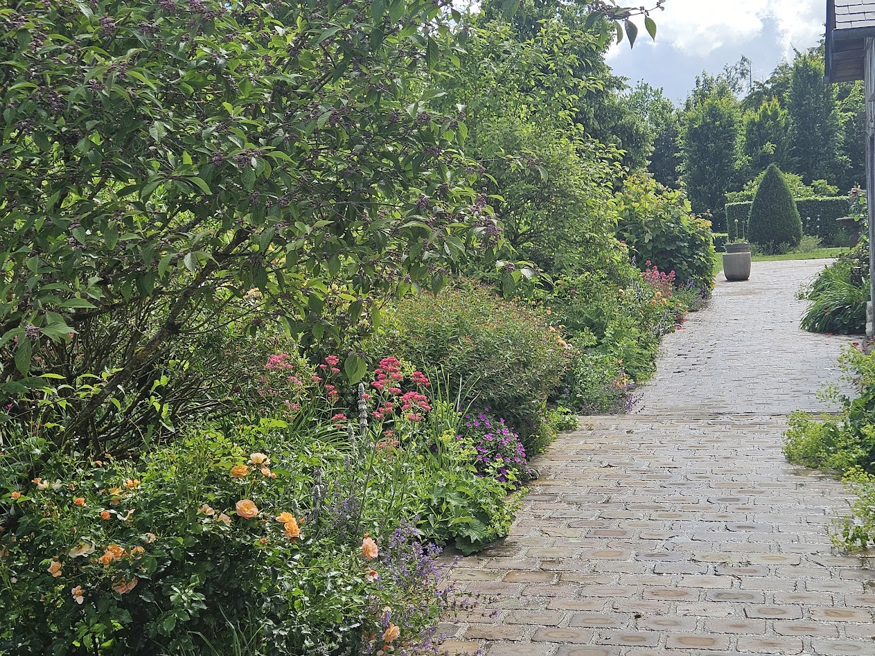 Jardin de Suzanne