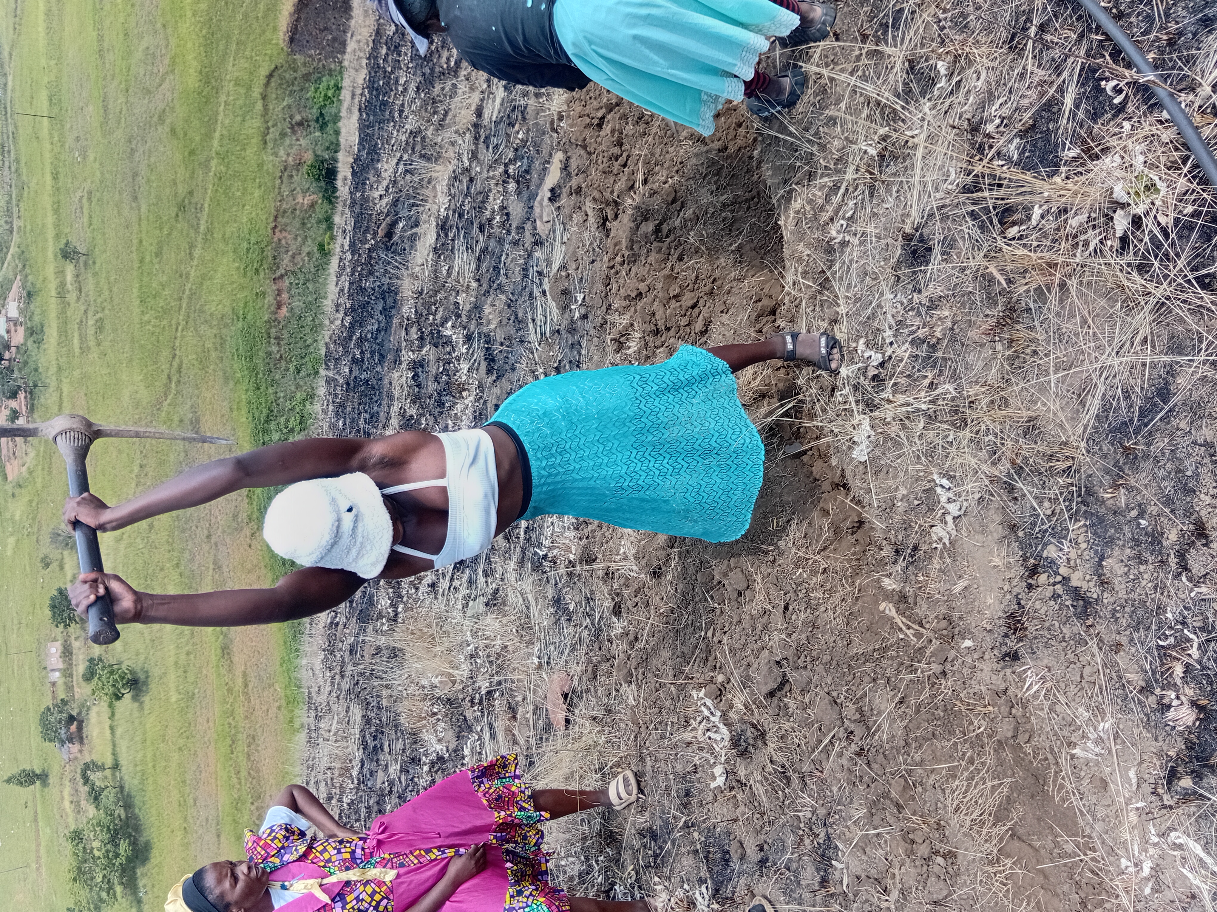 Women breaking ground for the springs