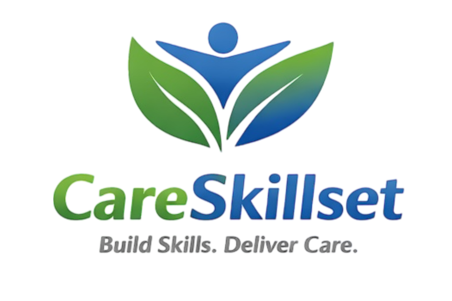 CareSkillset