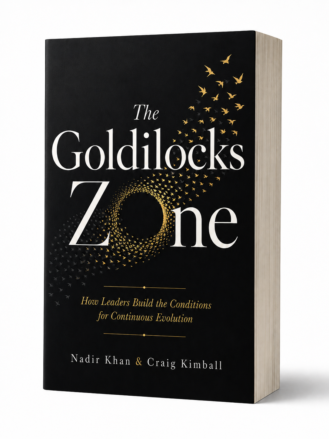 The Goldilocks Zone Book Cover