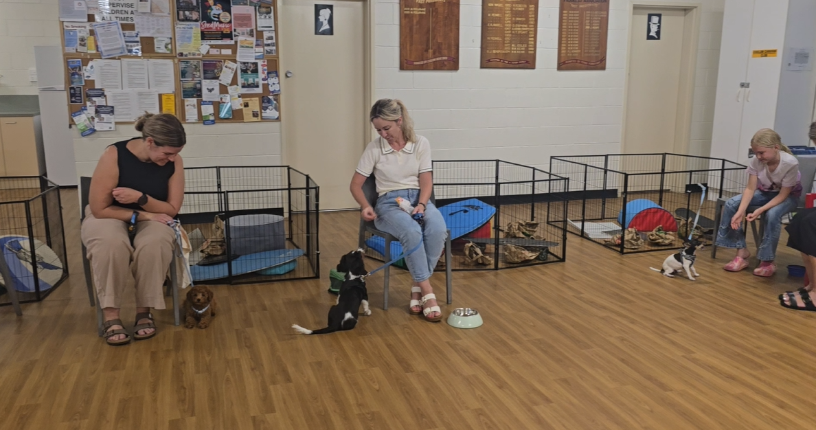 Teenage Puppy School