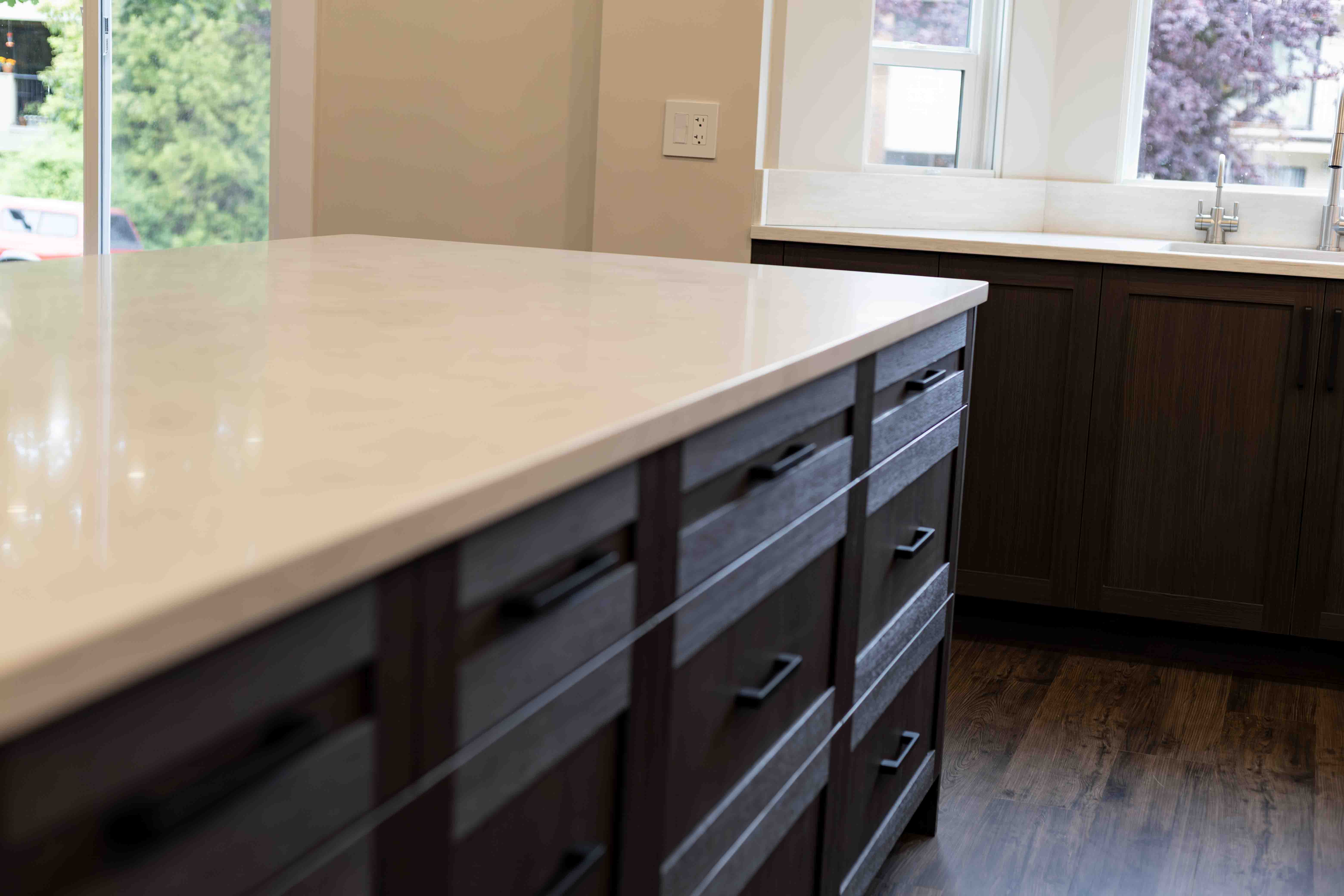 Vancouver Designer Kitchen — detail 9