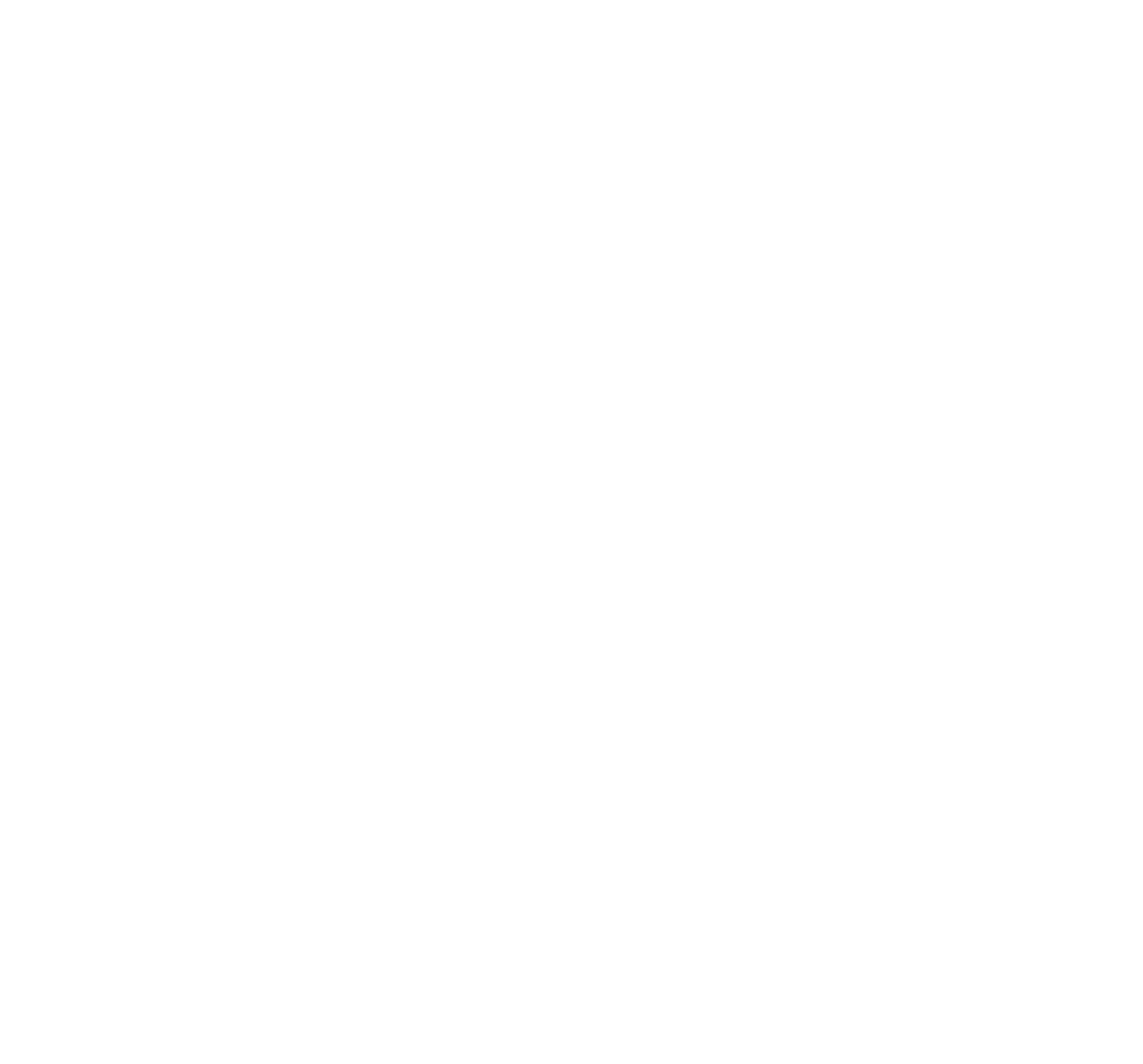 Biena Films Logo