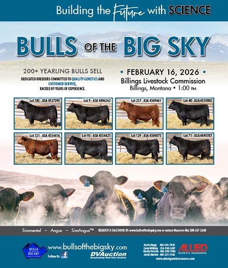 Konesky Simmental