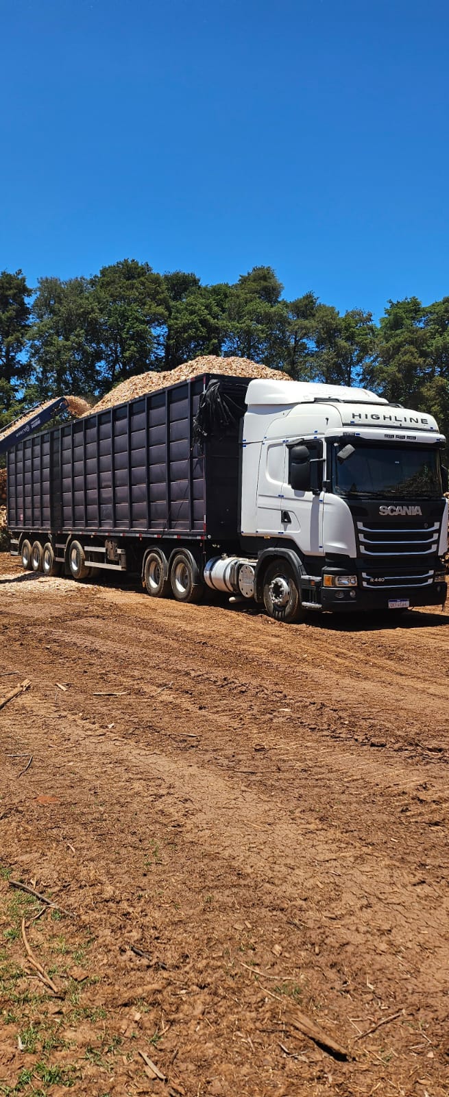 Caminhão Scania Highline carregado de cavacos da G.N. Florestal