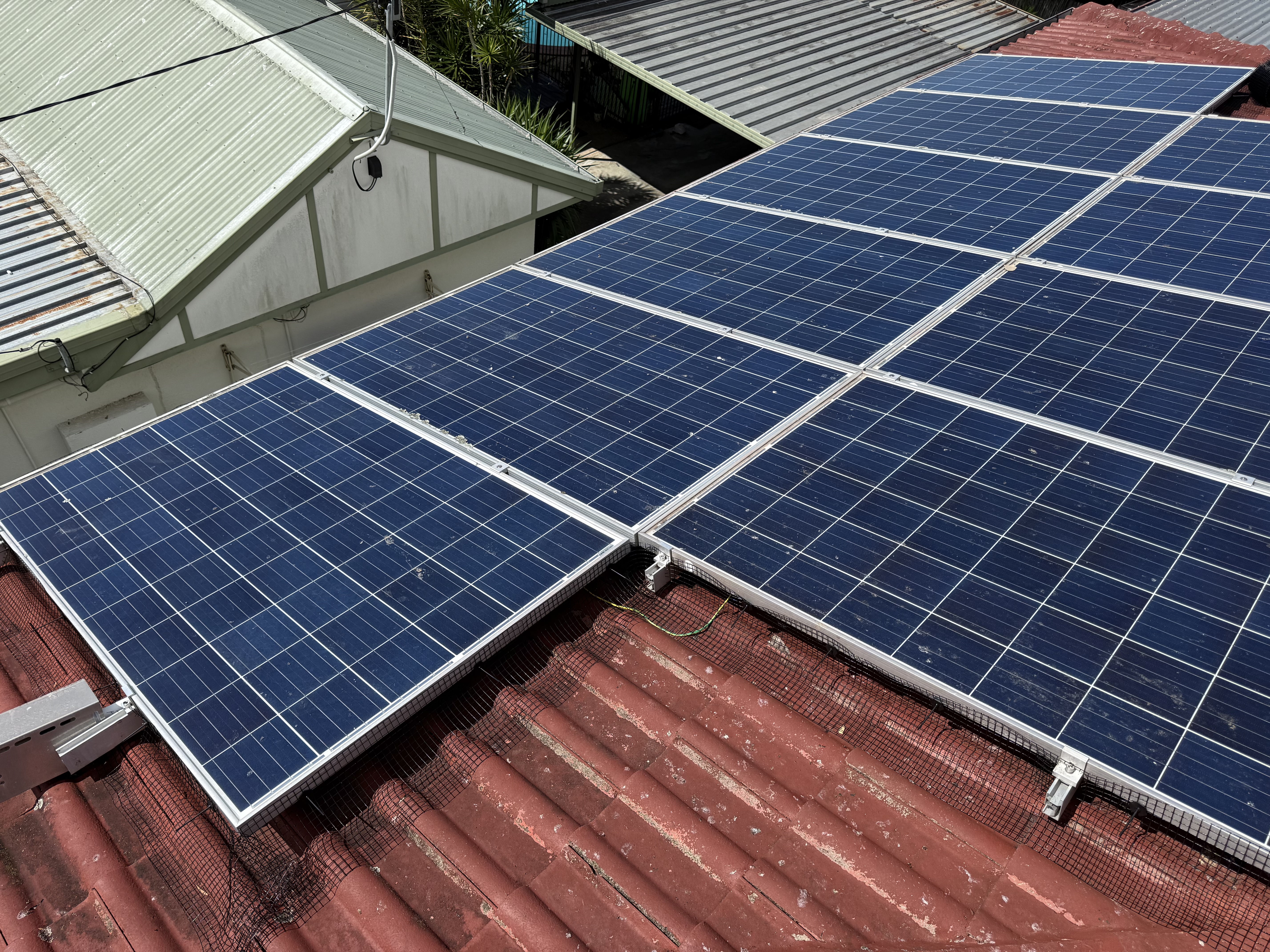 Solar panels with bird mesh protection Ipswich