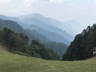 Misty Mountain Meadows