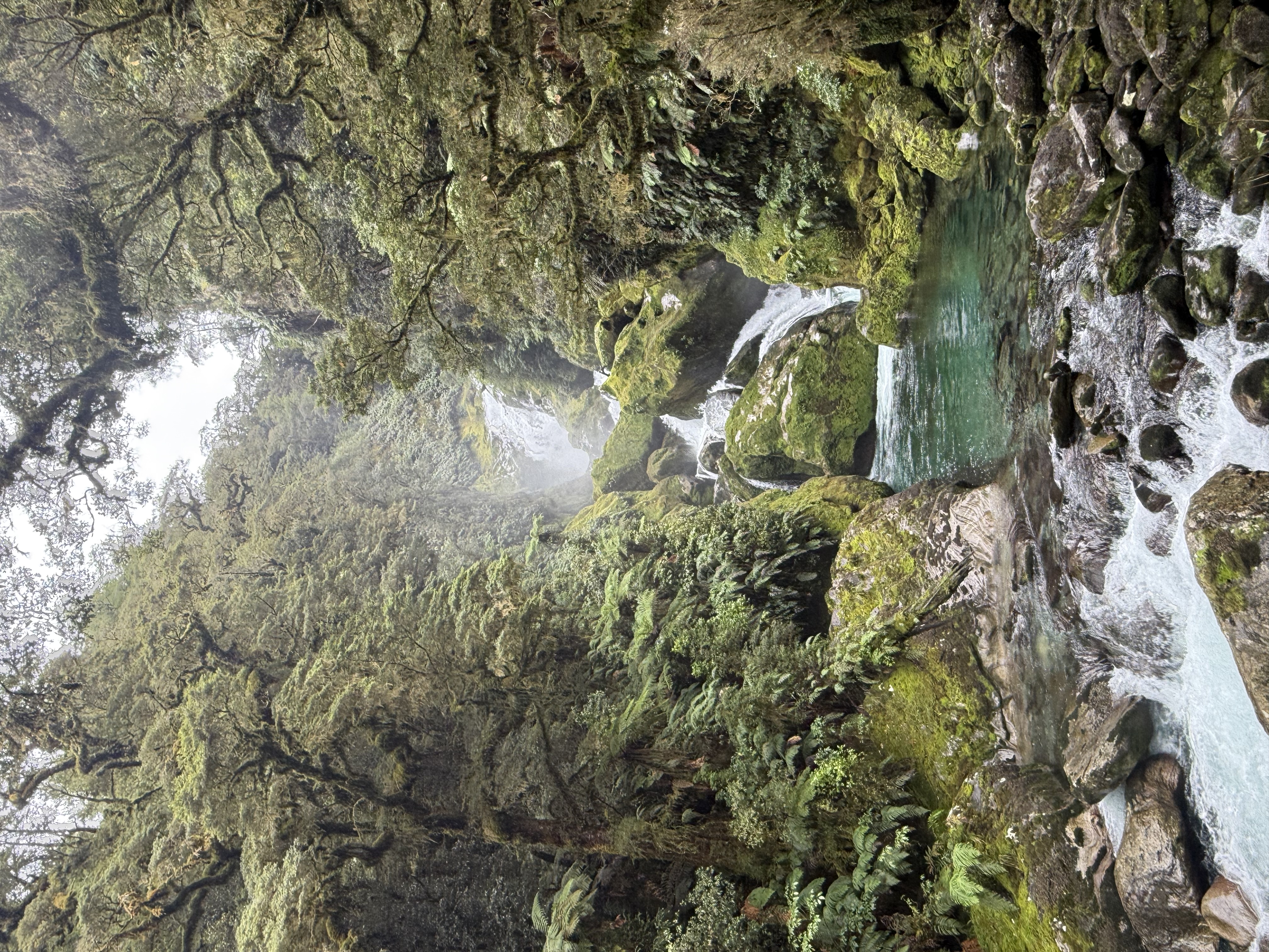 Waterfall through mossy temperate rainforest