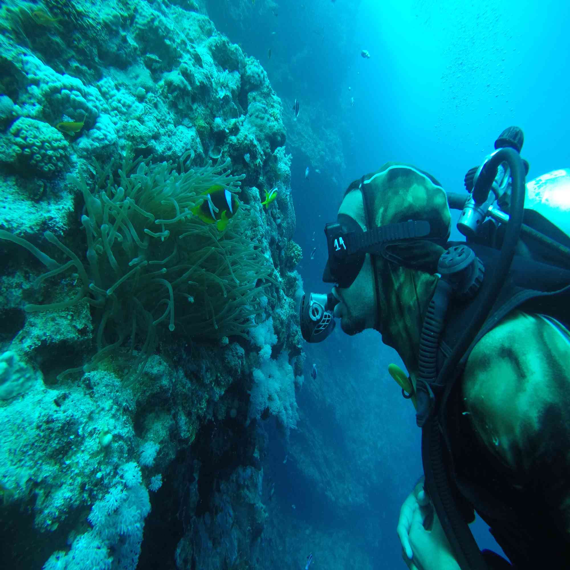 Dahab diving training - Mezo and Olesh