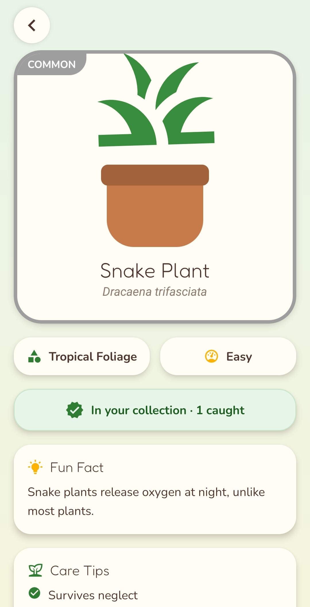 Botago Pro - Plant care interface