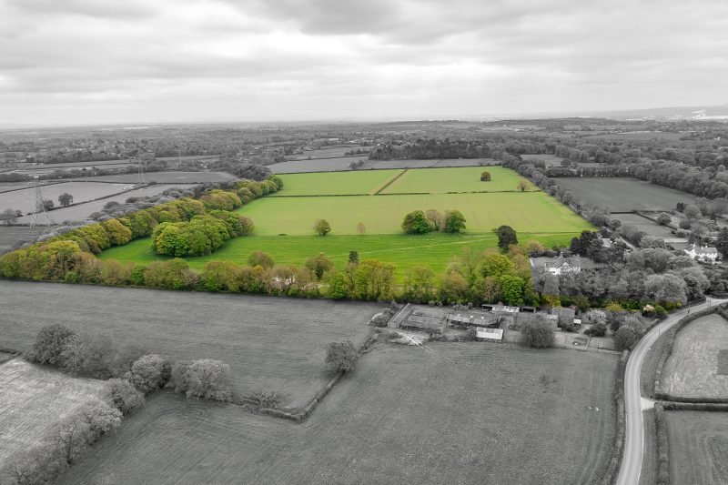 Land & Investment