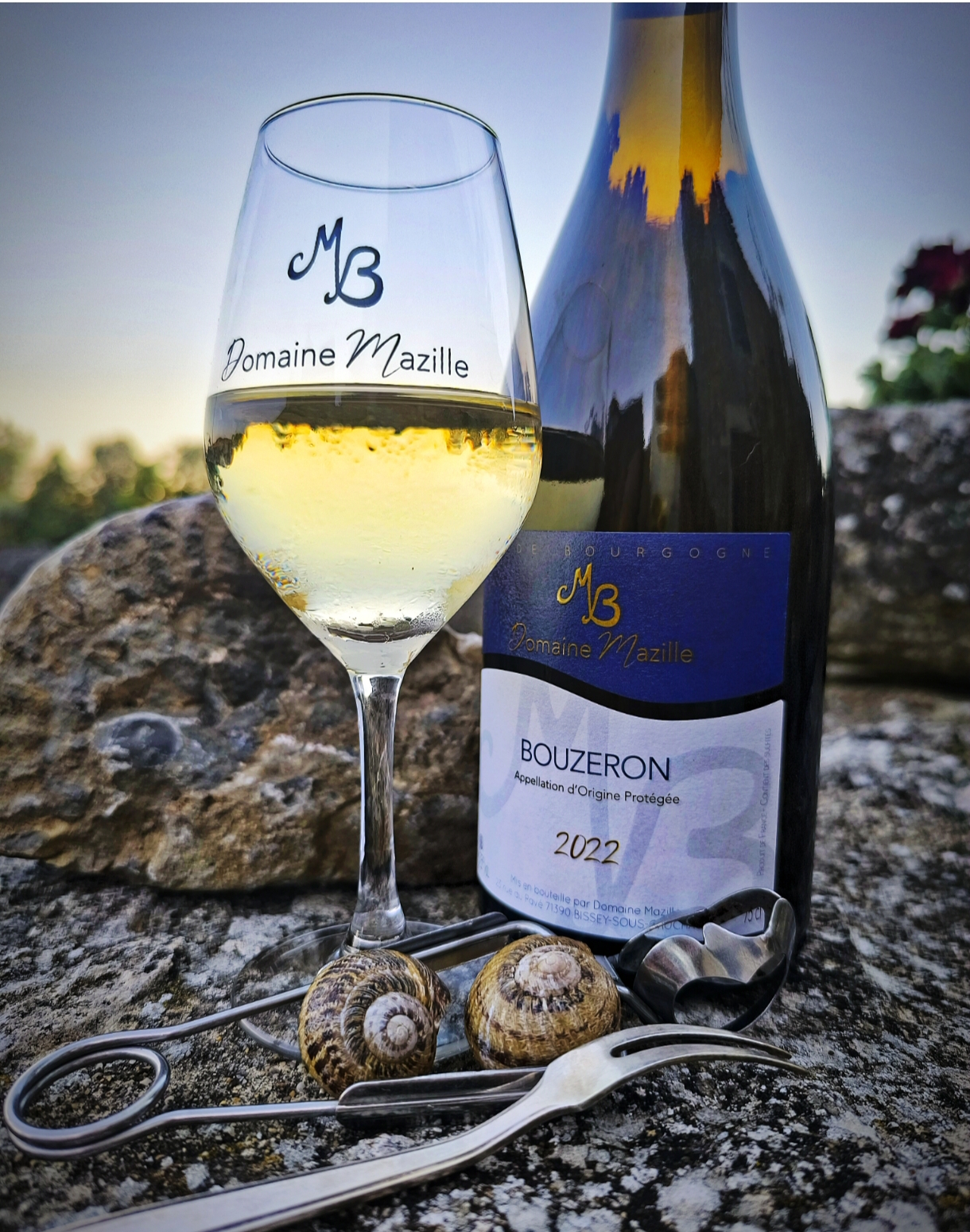 Vin du Domaine Mazille et escargots
