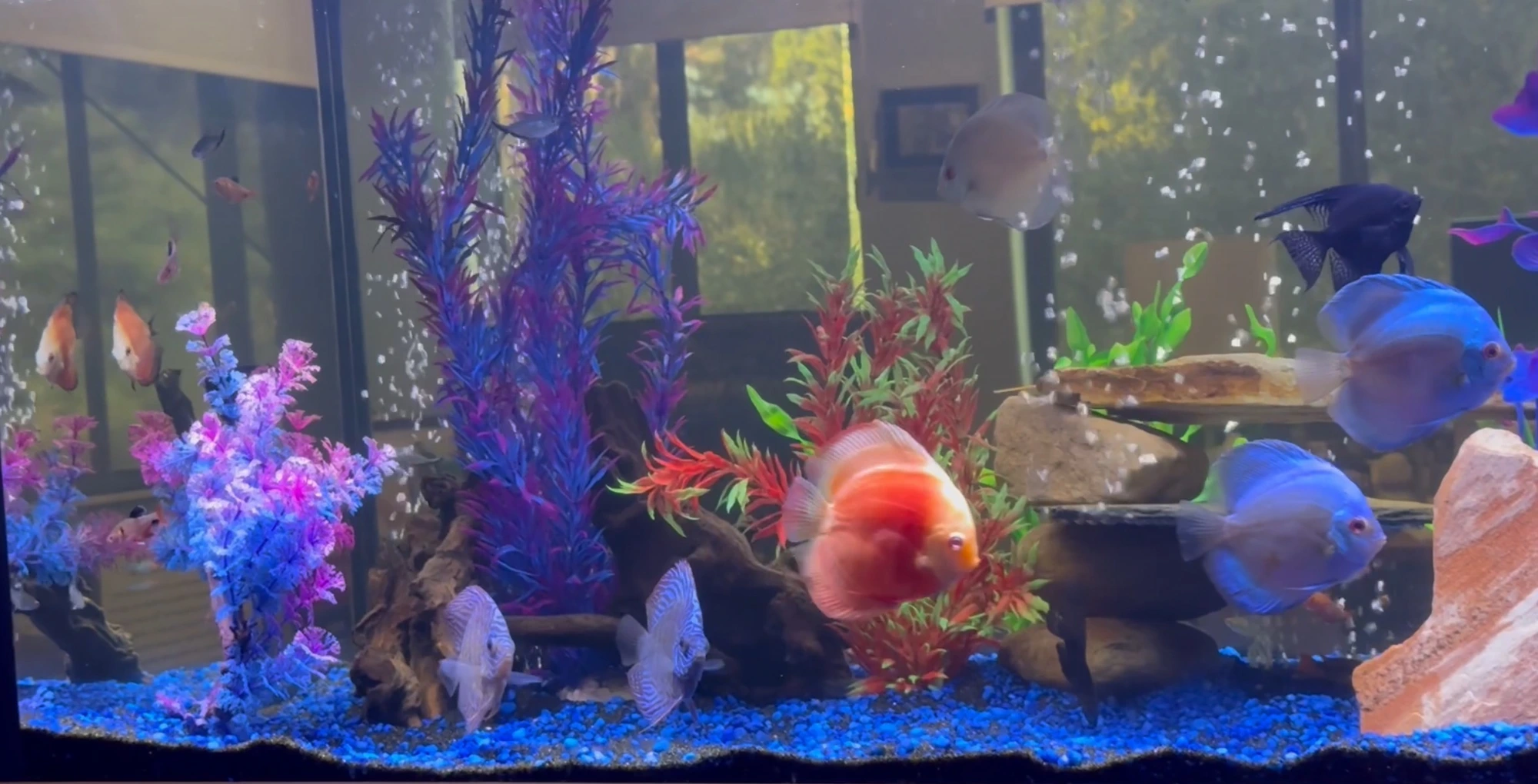 The TankCalm lobby — Safety Harbor