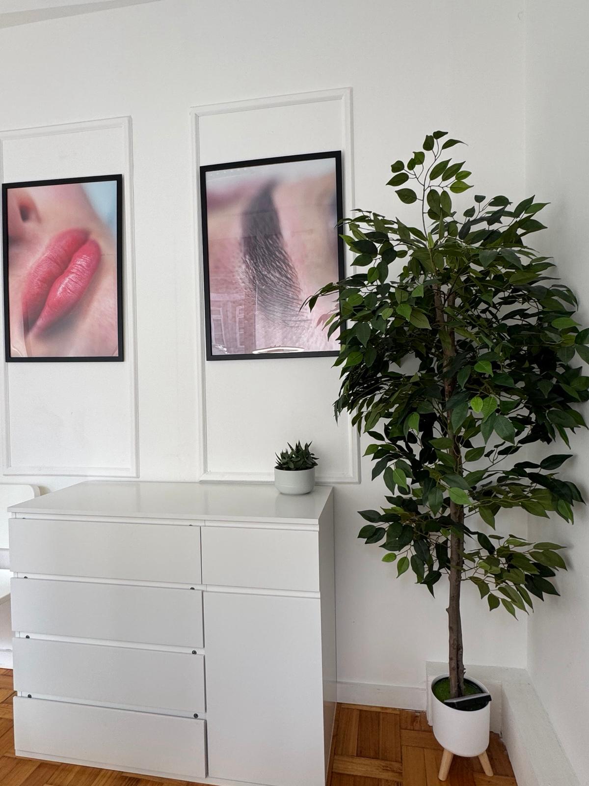 Sena Beauty Studio · Porto