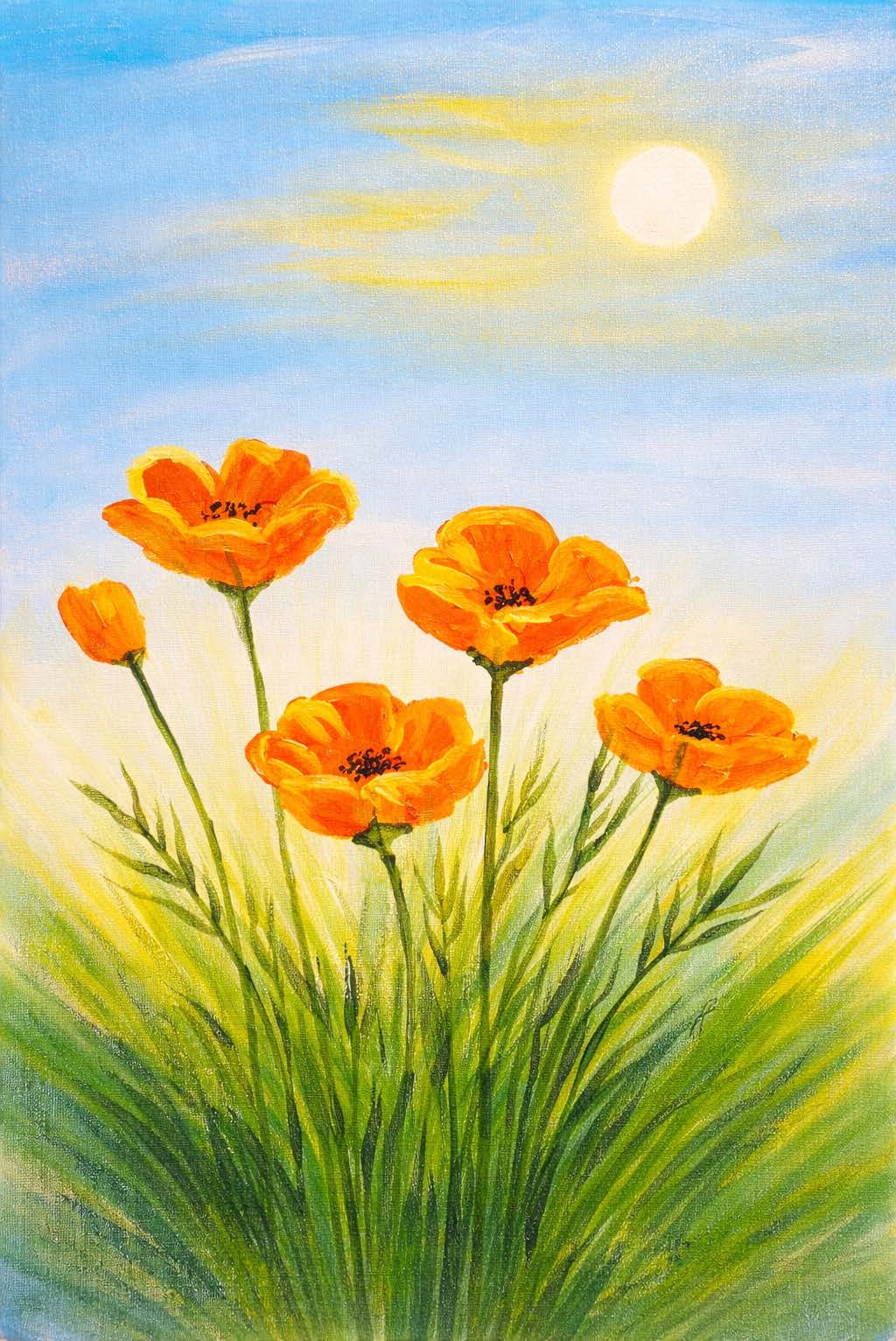 California Poppies