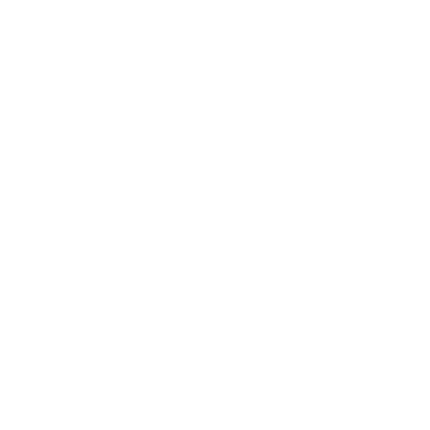 FR INTERIM