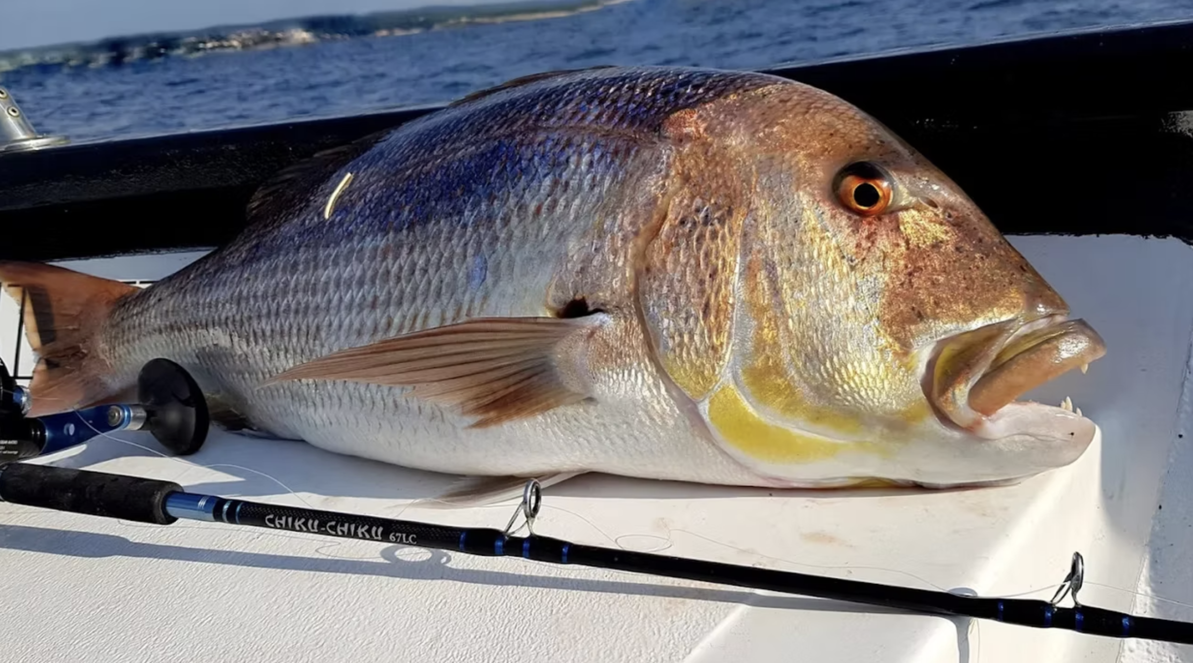 Calvi Fishing