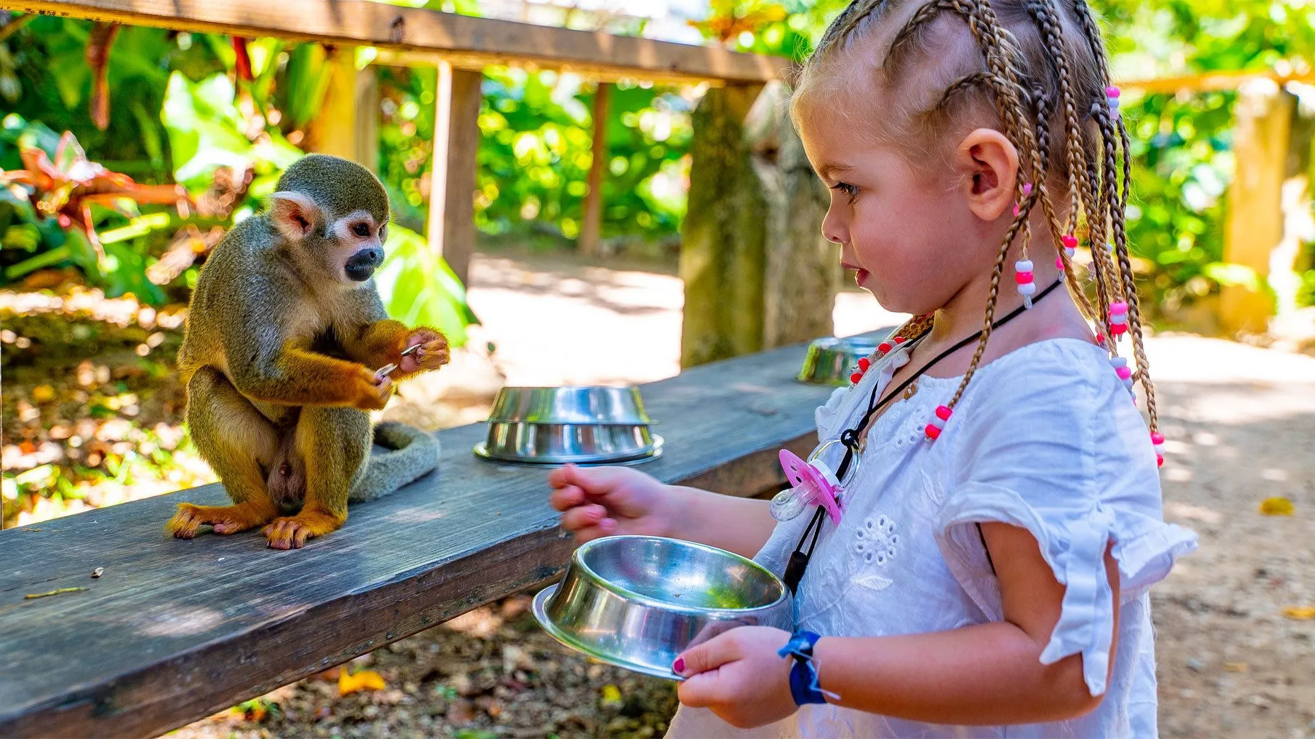 Monkey Land - Tierra de los Monos