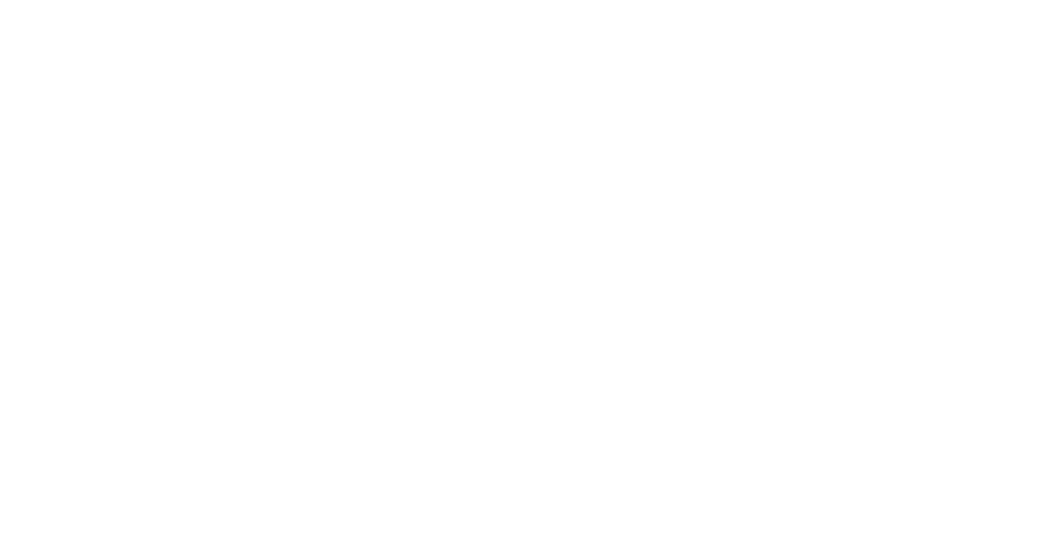León Logistics Group