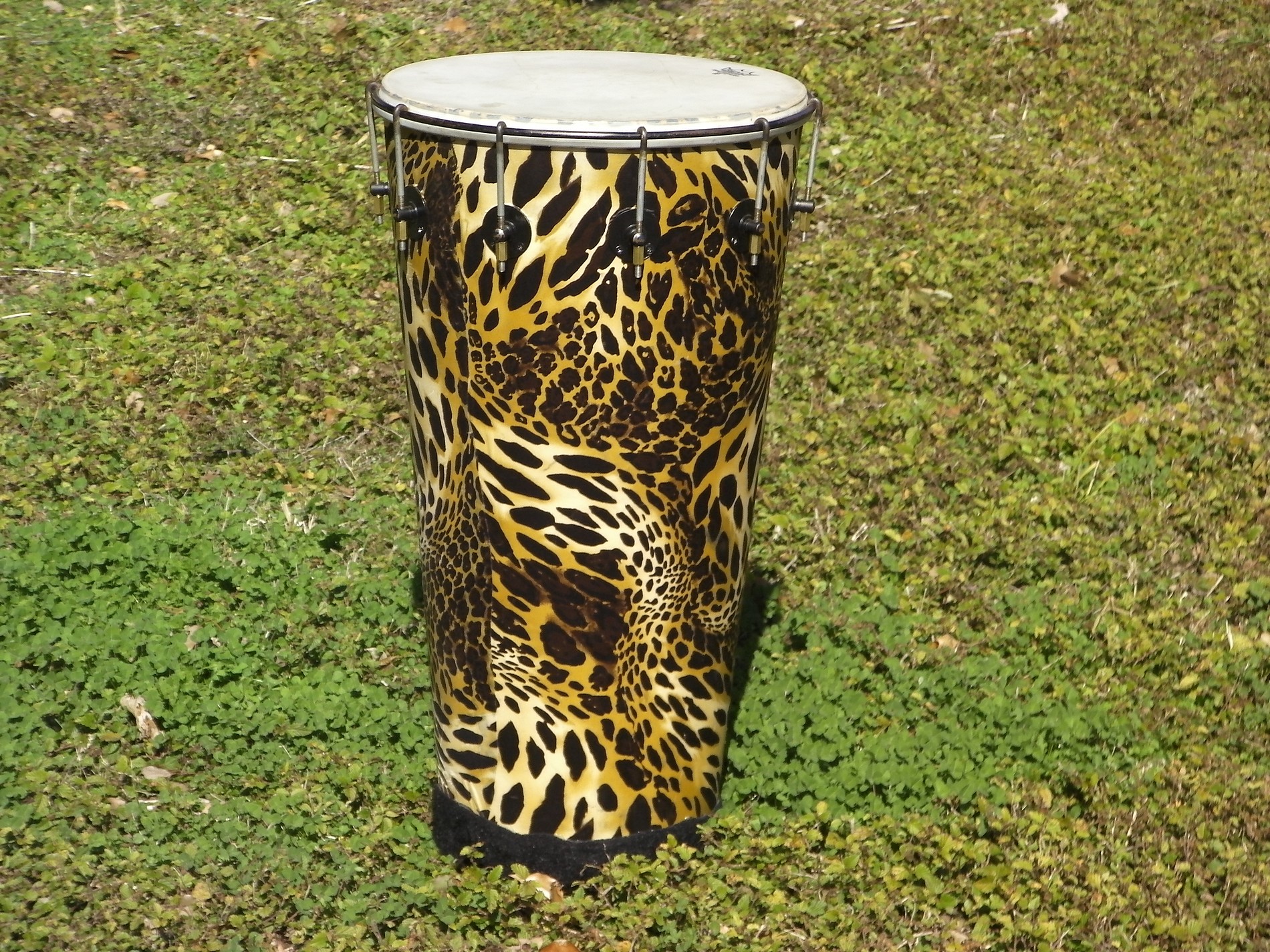 Timbau