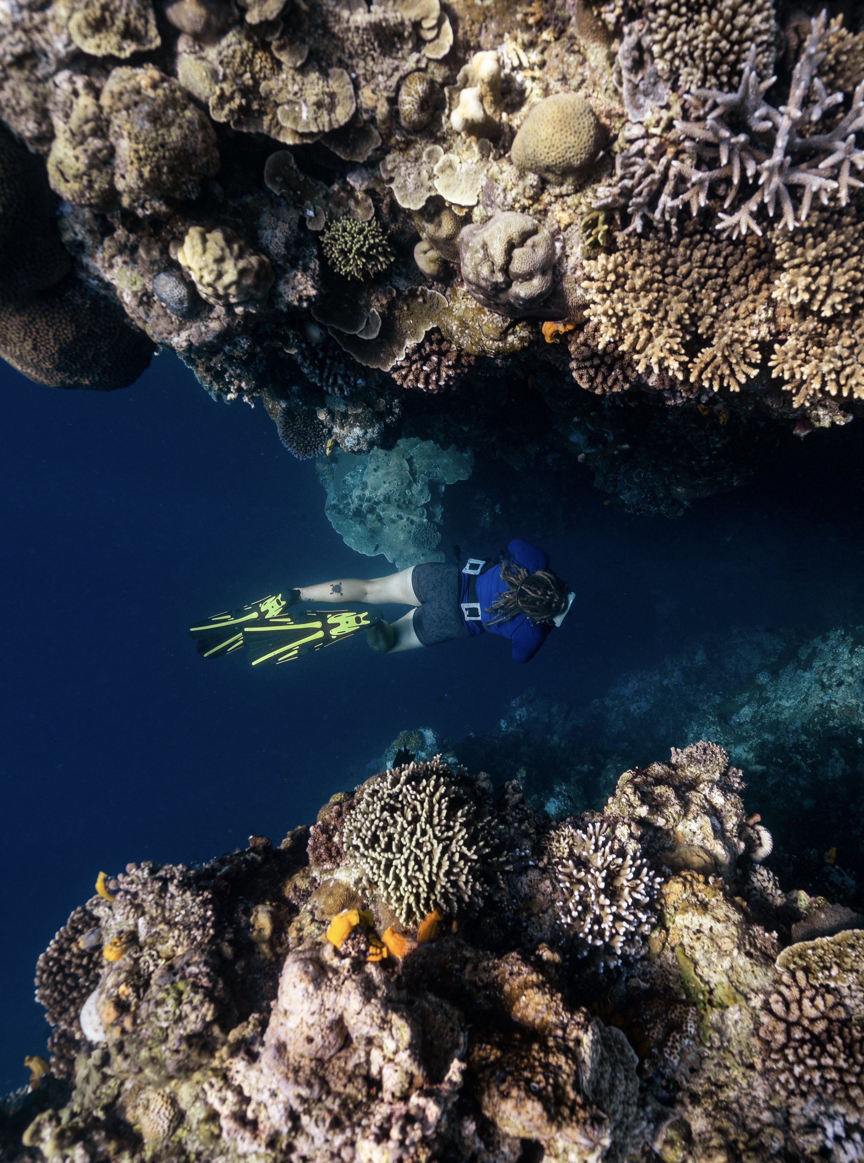A diver swimming between coral formations on the Bahoi reef