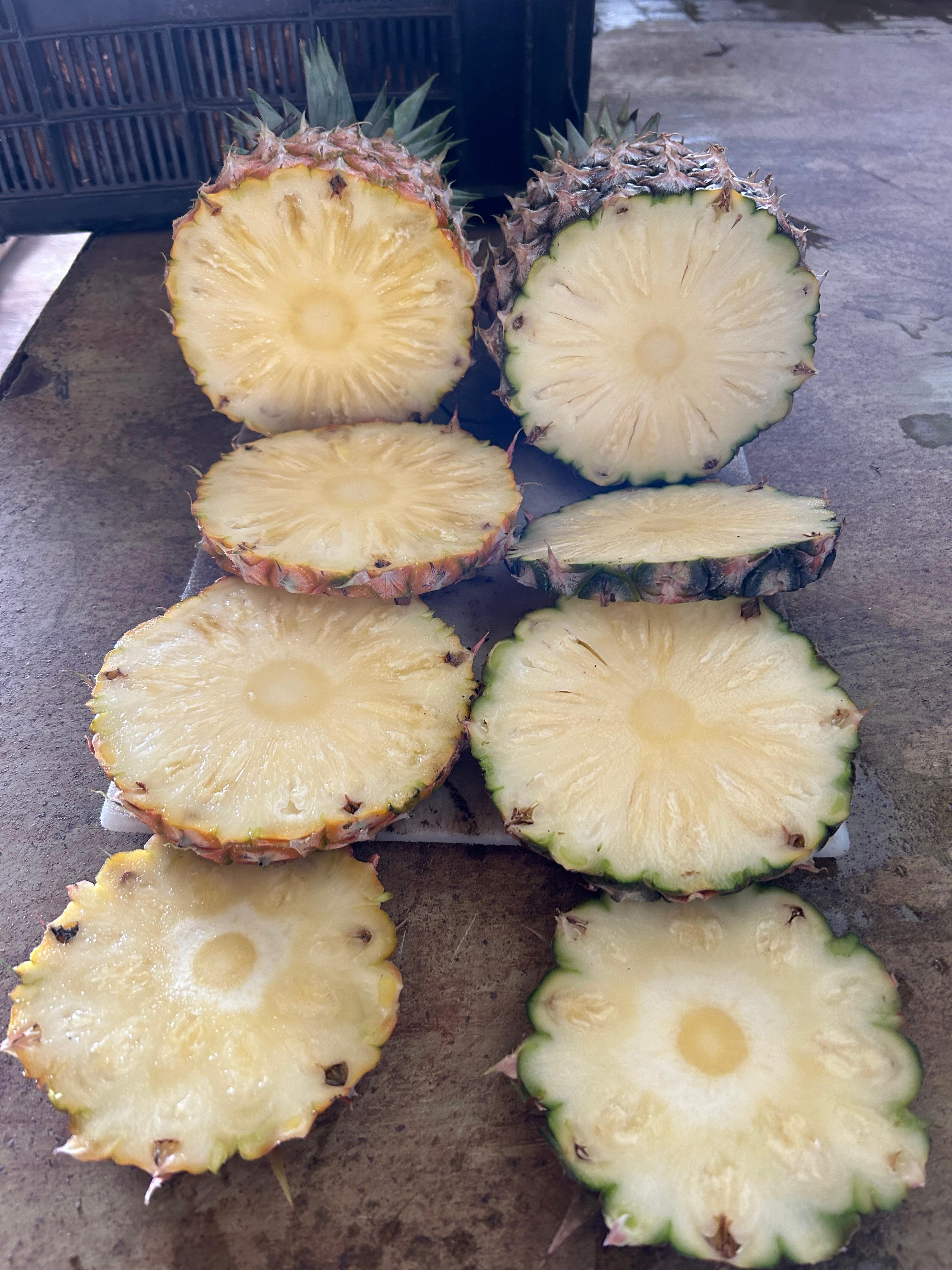 Cayenne pineapple cross-section