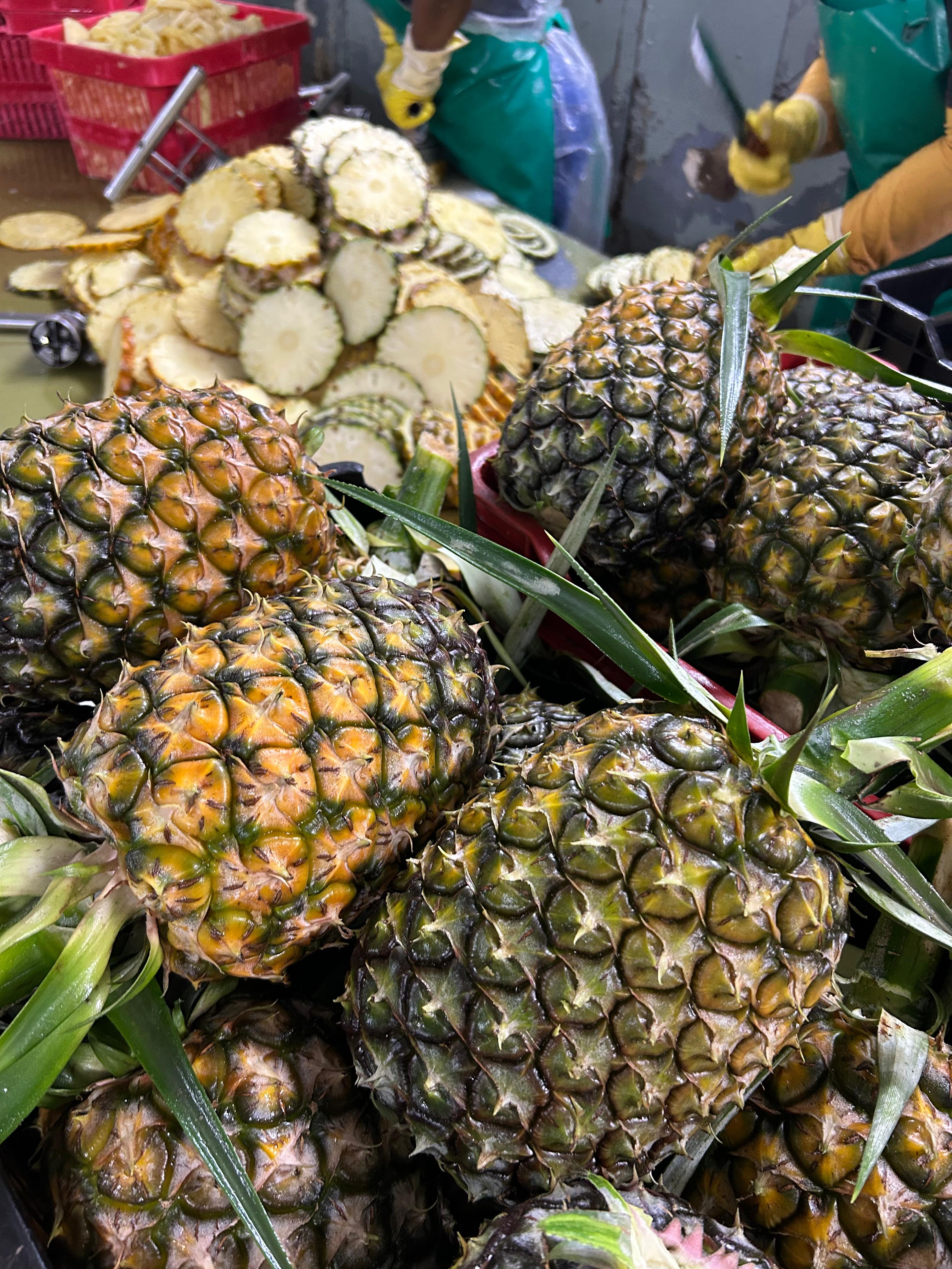 Frozen Pineapple Pulp