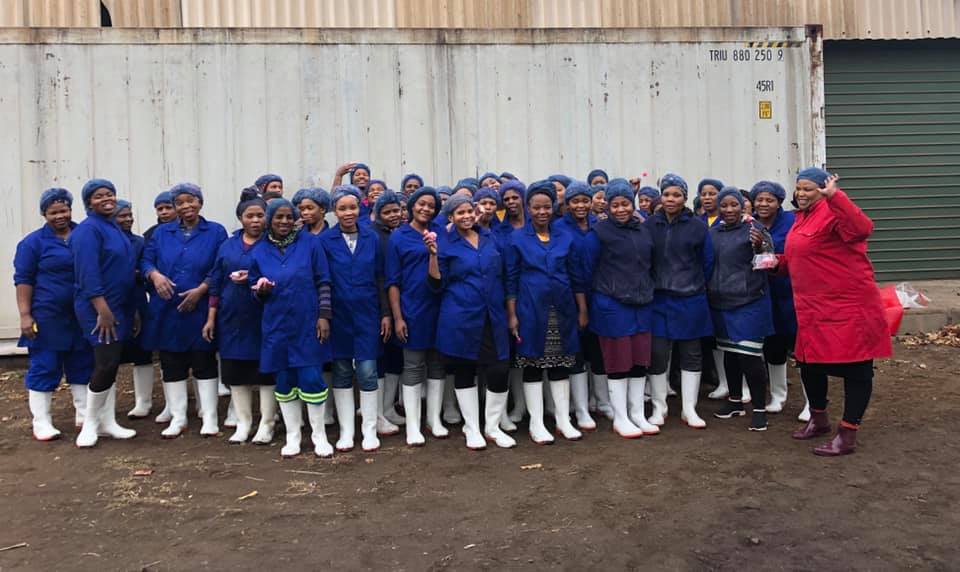 Novapine processing team