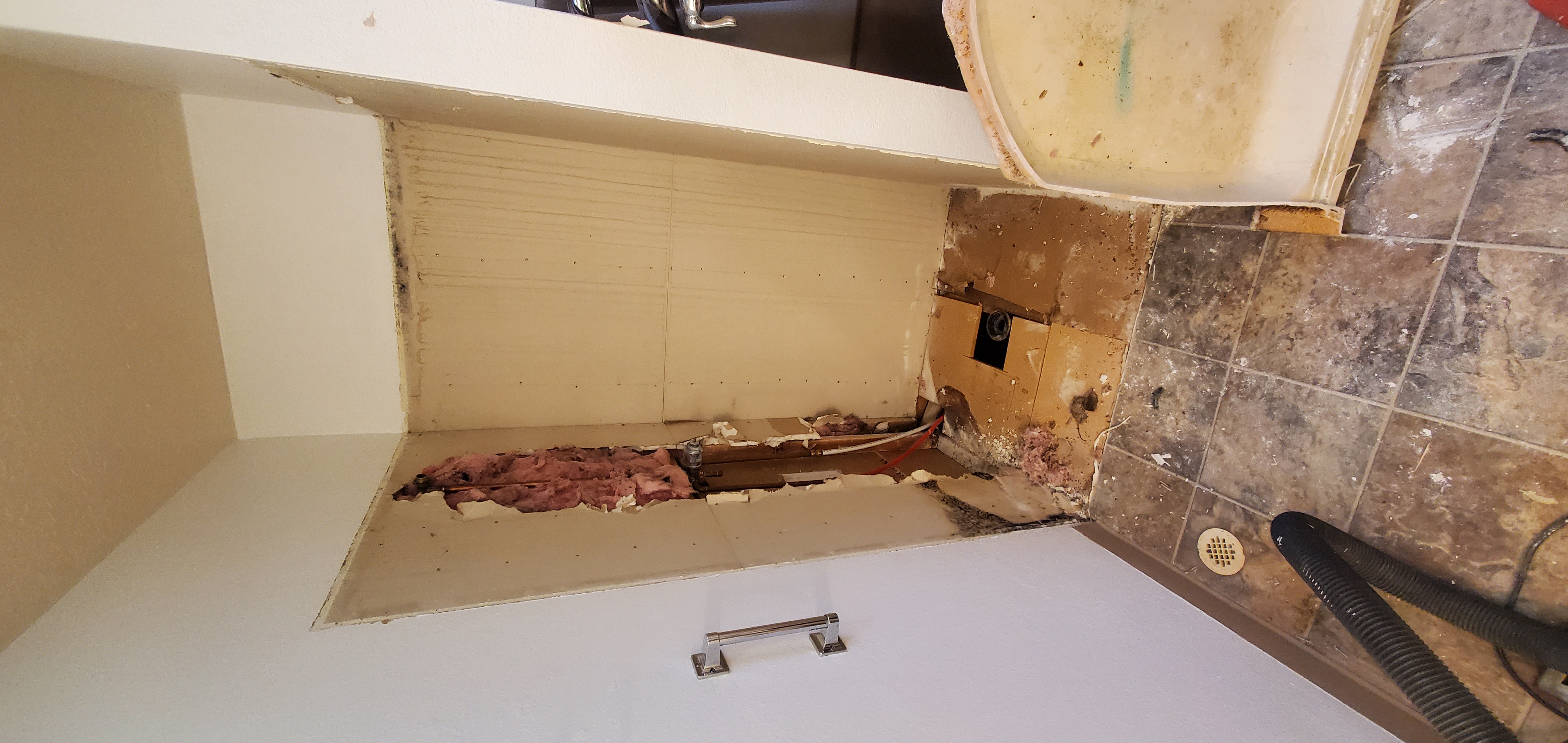 Plumbing & Mold Remediation