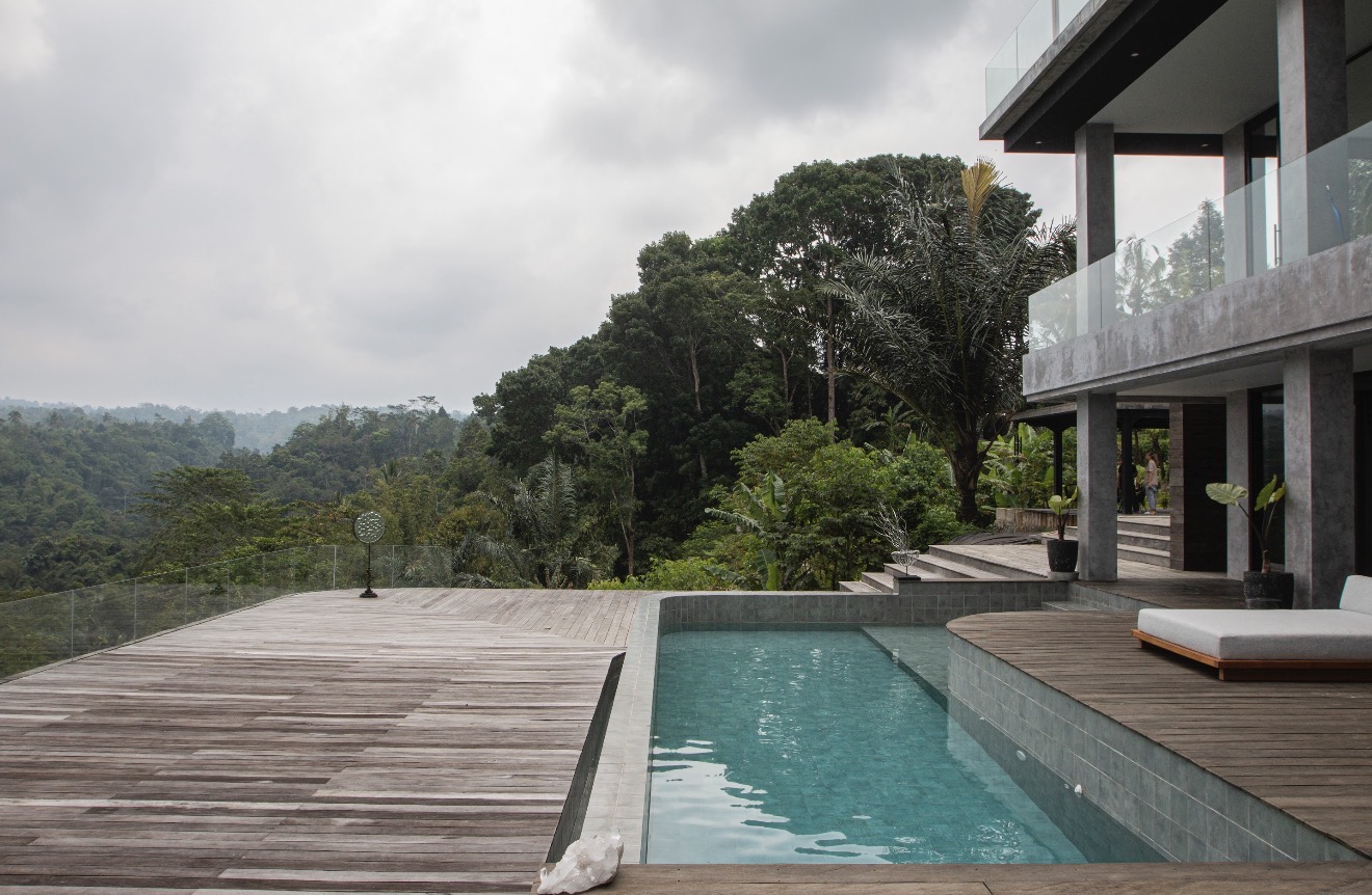 Moody jungle canopy, Ubud