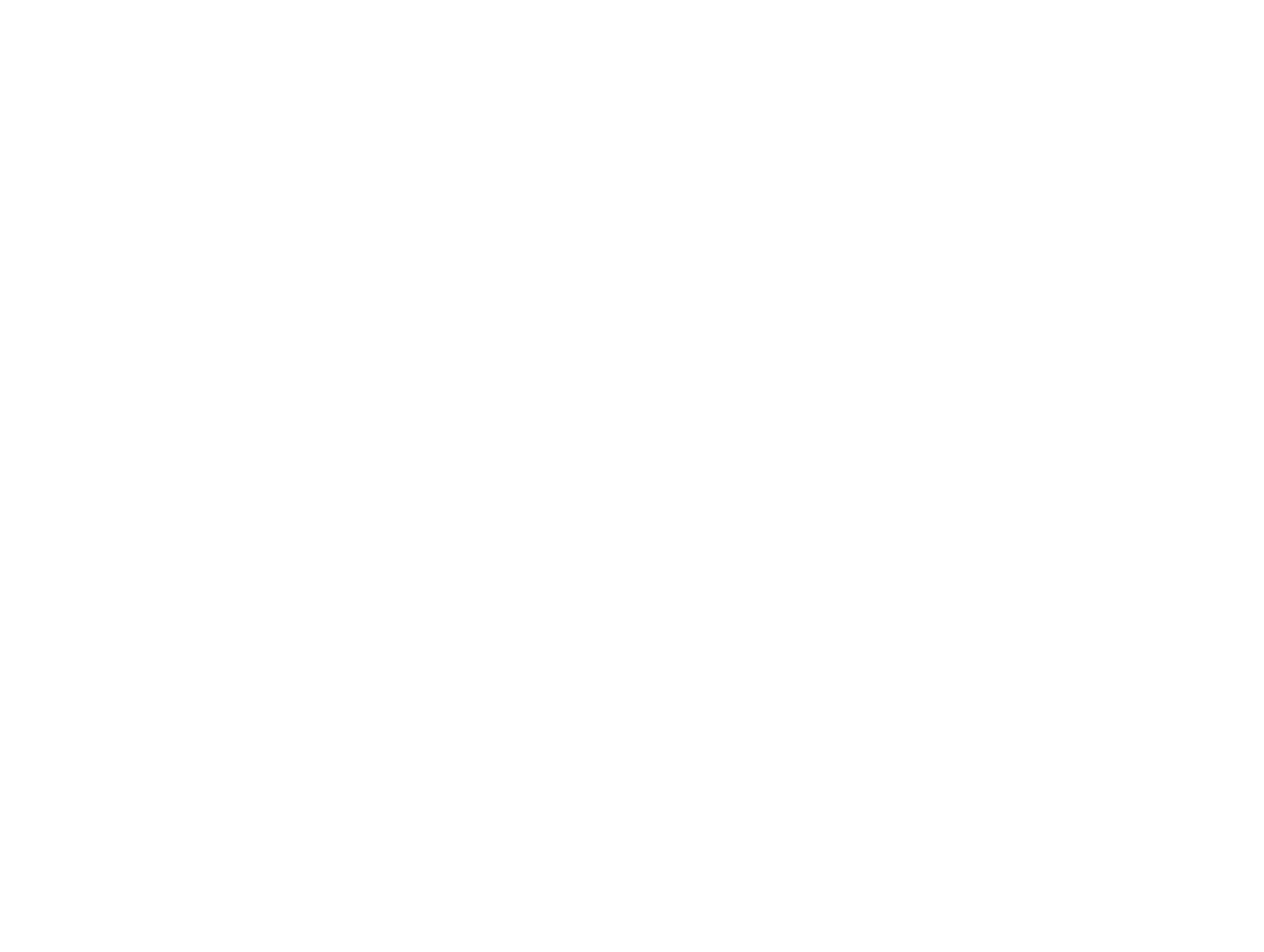 IAN MEDIA GROUP