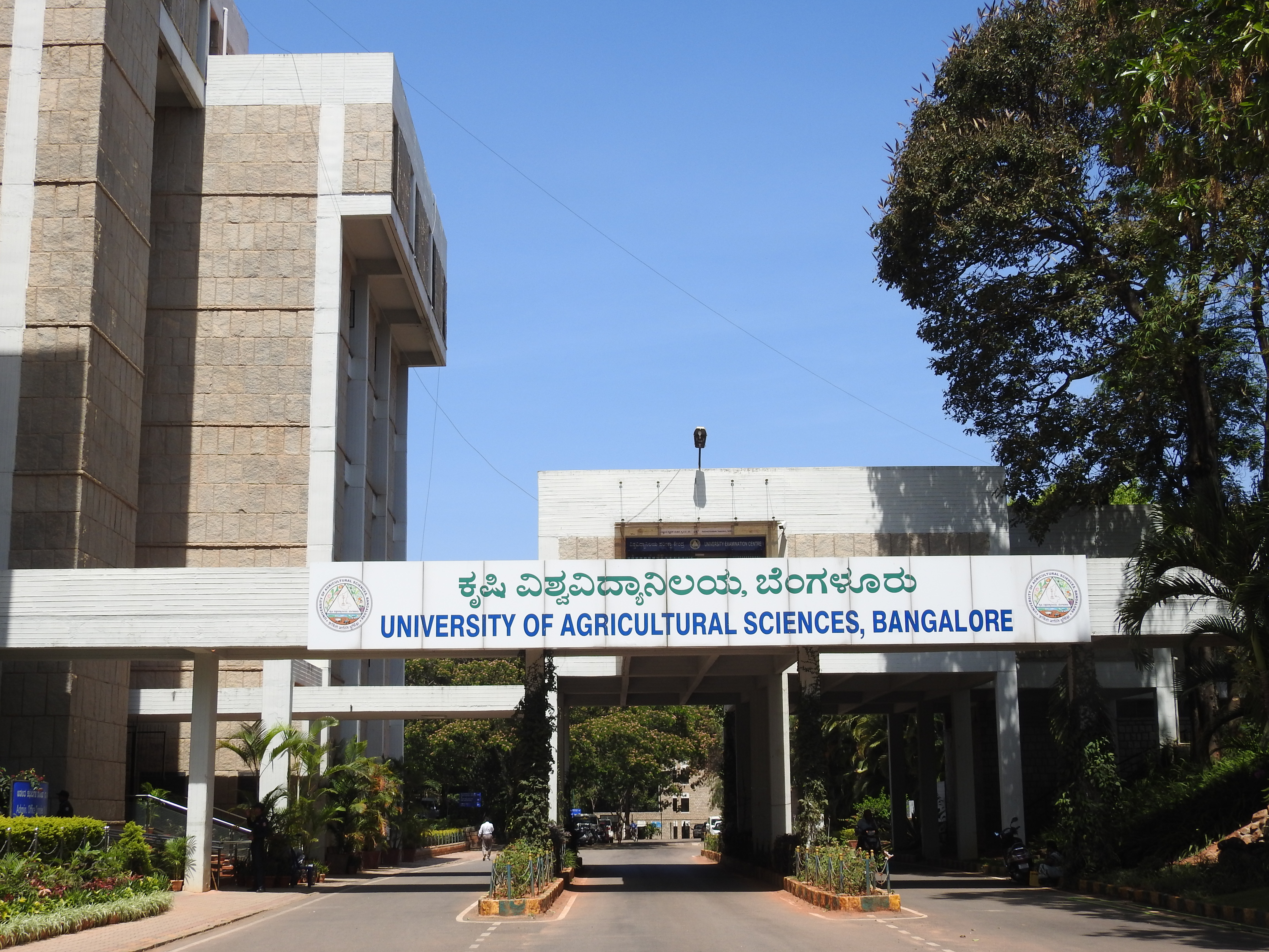 Coe Gkvk Image 1