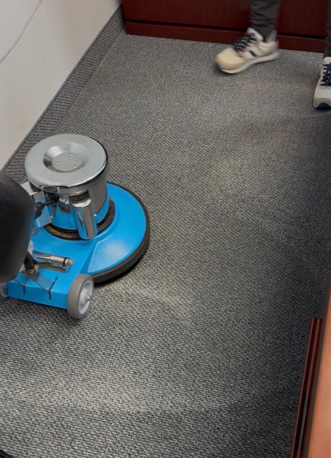 Carpet Cleaning