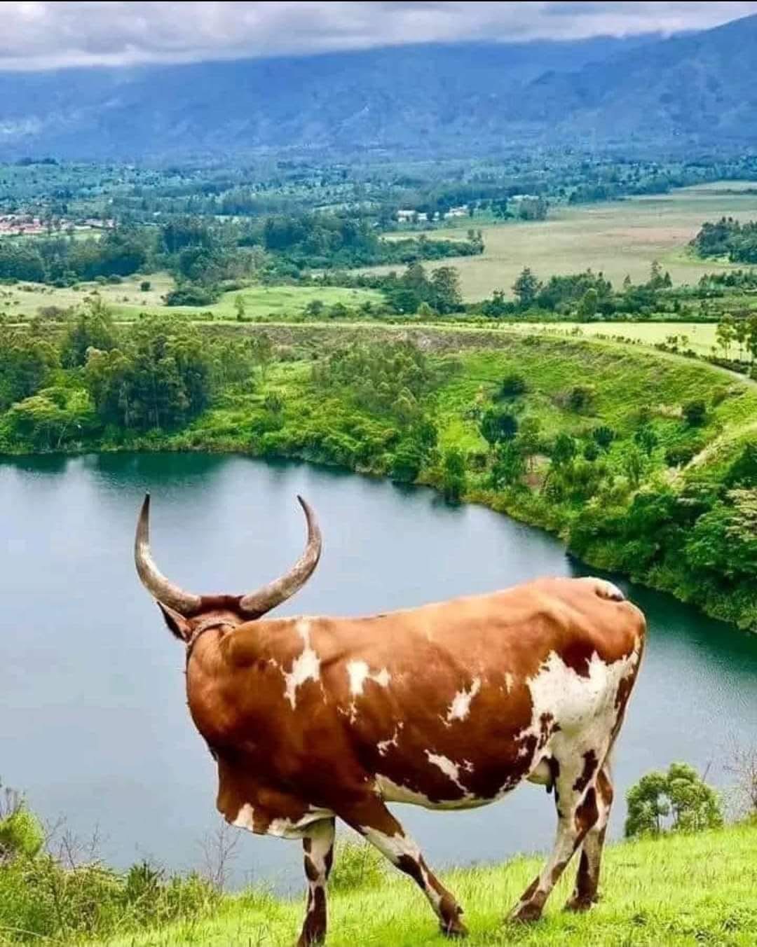 Lawatan landscape