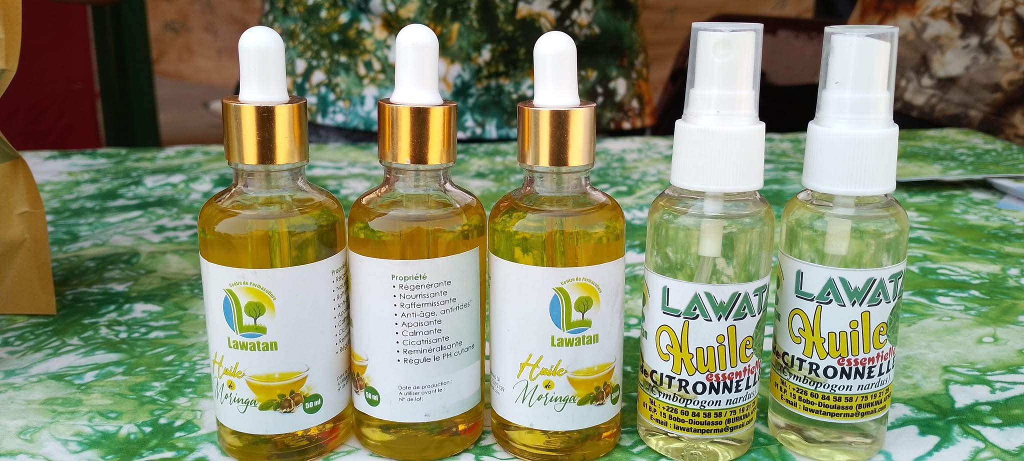 Moringa Bio