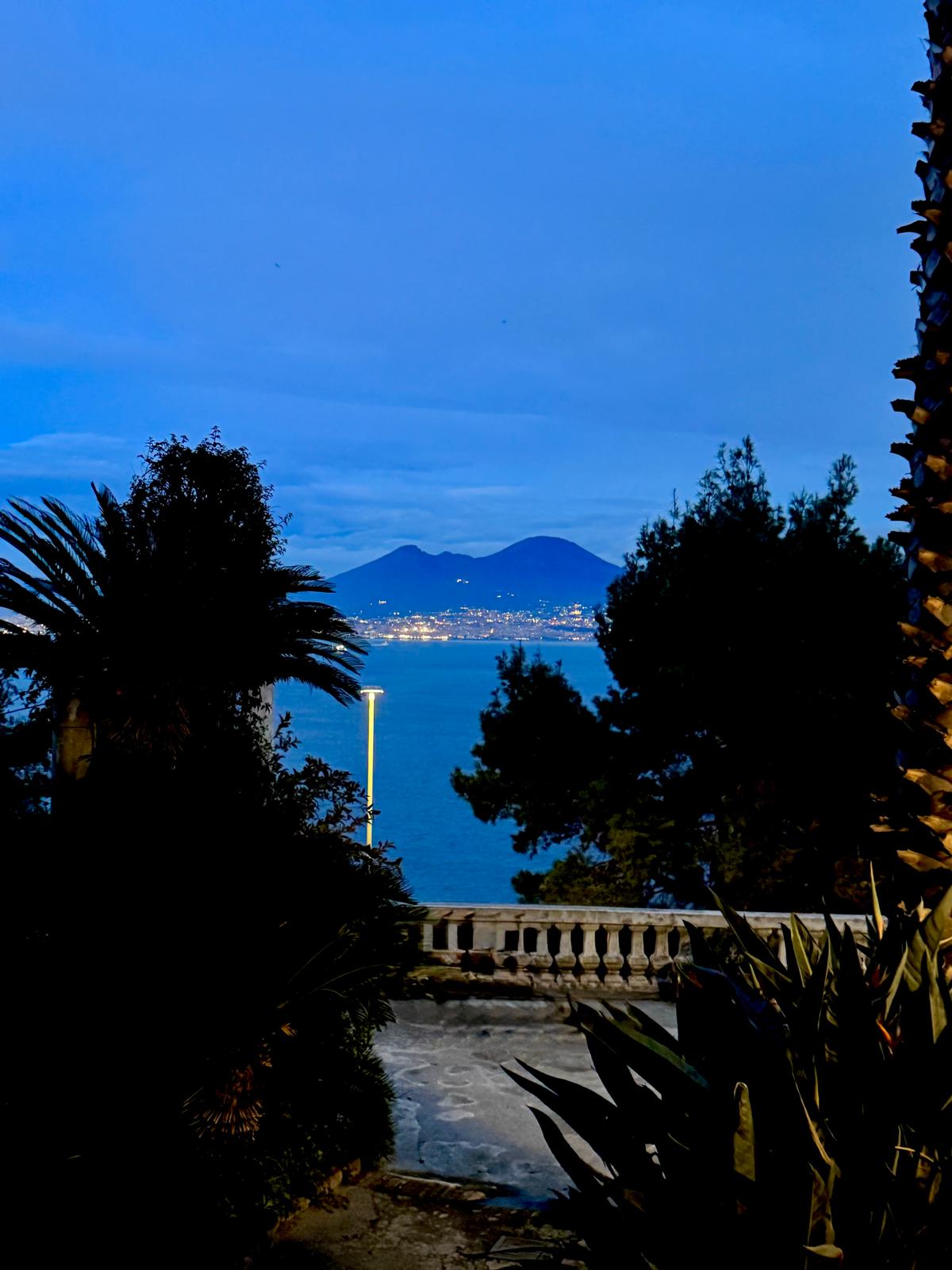 Clinica Posillipo - vista