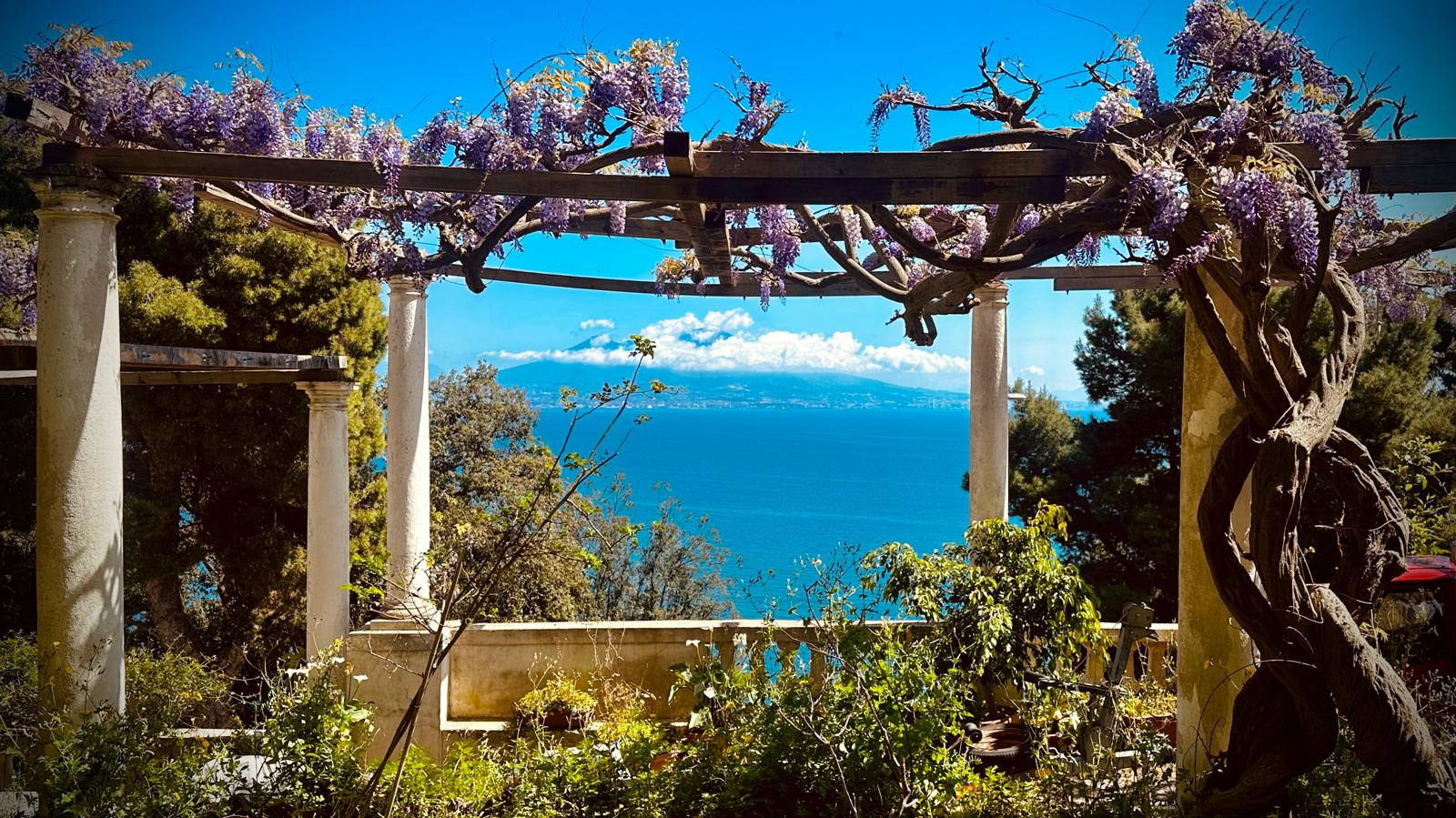 Clinica Posillipo - panorama